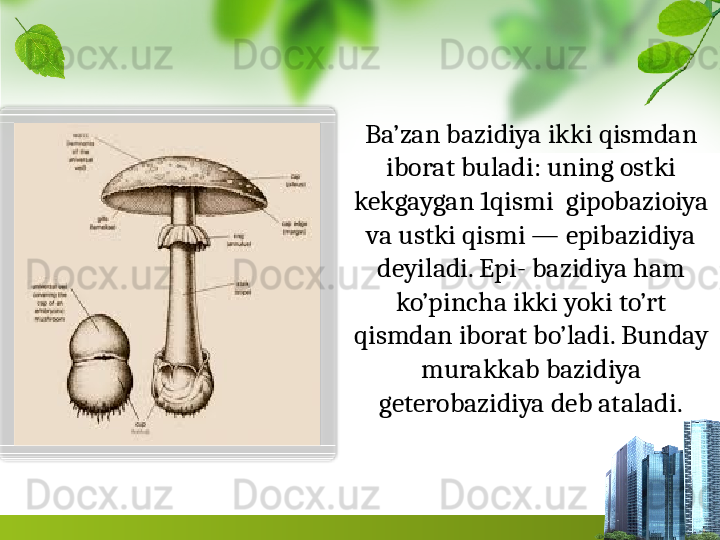 Ba’zan bazidiya ikki qismdan 
ibo rat buladi: uning ostki 
kekgaygan 1qismi  gipobazioiya 
va ustki qismi — epibazidiya 
deyiladi. Epi- bazidiya ham 
ko’pincha ikki yoki to’rt 
qismdan iborat bo’ladi. Bunday 
murakkab bazidiya 
geterobazidiya deb ataladi.  