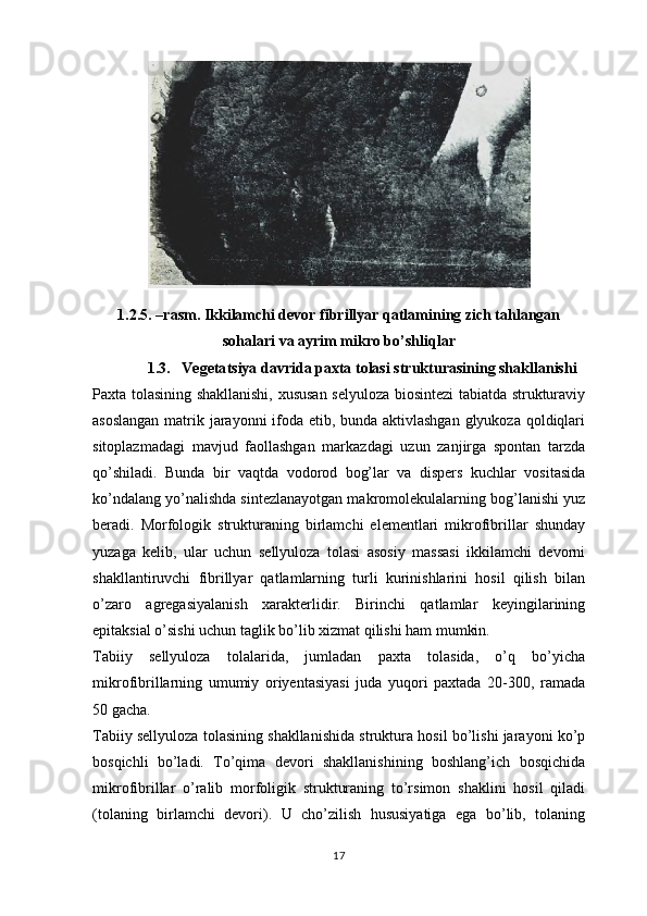 1. 2 .5. –rasm. Ikkilamchi devor fibrillyar qatlamining zich tahlangan
sohalari va ayrim mikro bo’shliqlar
1. 3 .  Vegeta t siya davrida paxta tolasi strukturasining shakllanishi
Paxta tolasining shakllanishi, xususan selyuloza biosintezi tabiatda strukturaviy
asoslangan  matrik jarayonni  ifoda etib, bunda aktivlashgan  glyukoza qoldiqlari
sitoplazmadagi   mavjud   faollashgan   markazdagi   uzun   zanjirga   spontan   tarzda
qo’shiladi.   Bunda   bir   vaqtda   vodorod   bog’lar   va   dispers   kuchlar   vositasida
ko’ndalang yo’nalishda sintezlanayotgan makromolekulalarning bog’lanishi yuz
beradi.   Morfologik   strukturaning   birlamchi   elementlari   mikrofibrillar   shunday
yuzaga   kelib,   ular   uchun   sellyuloza   tolasi   asosiy   massasi   ikkilamchi   devorni
shakllantiruvchi   fibrillyar   qatlamlarning   turli   kurinishlarini   hosil   qilish   bilan
o’zaro   agregasiyalanish   xarakterlidir.   Birinchi   qatlamlar   keyingilarining
epitaksial o’sishi uchun taglik bo’lib xizmat qilishi ham mumkin.
Tabiiy   sellyuloza   tolalarida,   jumladan   paxta   tolasida,   o’q   bo’yicha
mikrofibrillarning   umumiy   oriyentasiyasi   juda   yuqori   paxtada   20-300,   ramada
50 gacha.
Tabiiy sellyuloza tolasining shakllanishida struktura hosil bo’lishi jarayoni ko’p
bosqichli   bo’ladi.   To’qima   devori   shakllanishining   boshlang’ich   bosqichida
mikrofibrillar   o’ralib   morfoligik   strukturaning   to’rsimon   shaklini   hosil   qiladi
(tolaning   birlamchi   devori).   U   cho’zilish   hususiyatiga   ega   bo’lib,   tolaning
17 