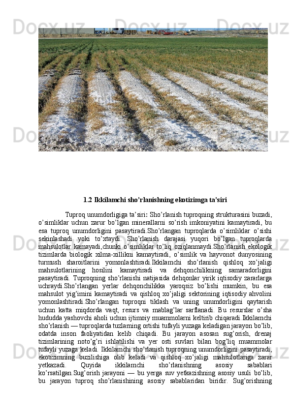 1.2 Ikkilamchi sho’rlanishning ekotizimga ta’siri
              Tuproq unumdorligiga ta’siri :  Sho’rlanish tuproqning strukturasini buzadi,
o’simliklar   uchun   zarur   bo’lgan   minerallarni   so’rish   imkoniyatini   kamaytiradi,   bu
esa   tuproq   unumdorligini   pasaytiradi.Sho’rlangan   tuproqlarda   o’simliklar   o’sishi
sekinlashadi   yoki   to’xtaydi.   Sho’rlanish   darajasi   yuqori   bo’lgan   tuproqlarda
mahsulotlar   kamayadi,chunki   o’simliklar   to’liq   oziqlanmaydi.Sho’rlanish   ekologik
tizimlarda   biologik   xilma-xillikni   kamaytiradi,   o’simlik   va   hayvonot   dunyosining
turmush   sharoitlarini   yomonlashtiradi.Ikkilamchi   sho’rlanish   qishloq   xo’jaligi
mahsulotlarining   hosilini   kamaytiradi   va   dehqonchilikning   samaradorligini
pasaytiradi.   Tuproqning   sho’rlanishi   natijasida   dehqonlar   yirik   iqtisodiy   zararlarga
uchraydi.Sho’rlangan   yerlar   dehqonchilikka   yaroqsiz   bo’lishi   mumkin,   bu   esa
mahsulot   yig’imini   kamaytiradi   va   qishloq   xo’jaligi   sektorining   iqtisodiy   ahvolini
yomonlashtiradi.Sho’rlangan   tuproqni   tiklash   va   uning   unumdorligini   qaytarish
uchun   katta   miqdorda   vaqt,   resurs   va   mablag’lar   sarflanadi.   Bu   resurslar   o’sha
hududda yashovchi aholi uchun ijtimoiy muammolarni keltirib chiqaradi.Ikkilamchi
sho’rlanish — tuproqlarda tuzlarning ortishi tufayli yuzaga keladigan jarayon bo’lib,
odatda   inson   faoliyatidan   kelib   chiqadi.   Bu   jarayon   asosan   sug’orish,   drenaj
tizimlarining   noto’g’ri   ishlatilishi   va   yer   osti   suvlari   bilan   bog’liq   muammolar
tufayli yuzaga keladi. Ikkilamchi sho’rlanish tuproqning unumdorligini pasaytiradi,
ekotizimning   buzilishiga   olib   keladi   va   qishloq   xo’jaligi   mahsulotlariga   zarar
yetkazadi.   Quyida   ikkilamchi   sho’rlanishning   asosiy   sabablari
ko’rsatilgan. Sug’orish   jarayoni   —   bu   yerga   suv   yetkazishning   asosiy   usuli   bo’lib,
bu   jarayon   tuproq   sho’rlanishining   asosiy   sabablaridan   biridir.   Sug’orishning 