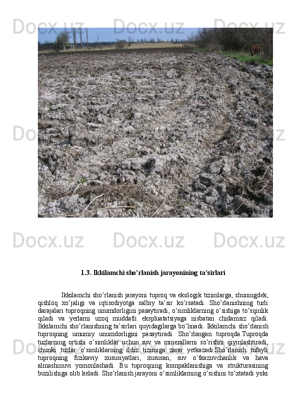 1.3. Ikkilamchi sho’rlanish jarayonining ta’sirlari
                            Ikkilamchi sho’rlanish jarayoni tuproq va ekologik tizimlarga, shuningdek,
qishloq   xo’jaligi   va   iqtisodiyotga   salbiy   ta’sir   ko’rsatadi.   Sho’rlanishning   turli
darajalari tuproqning unumdorligini pasaytiradi, o’simliklarning o’sishiga to’sqinlik
qiladi   va   yerlarni   uzoq   muddatli   ekspluatatsiyaga   nisbatan   chidamsiz   qiladi.
Ikkilamchi sho’rlanishning ta’sirlari quyidagilarga bo’linadi.   Ikkilamchi sho’rlanish
tuproqning   umumiy   unumdorligini   pasaytiradi.   Sho’rlangan   tuproqda.Tuproqda
tuzlarning   ortishi   o’simliklar   uchun   suv   va   minerallarni   so’rishni   qiyinlashtiradi,
chunki   tuzlar   o’simliklarning   ildiz   tizimiga   zarar   yetkazadi.Sho’rlanish   tufayli
tuproqning   fizikaviy   xususiyatlari,   xususan,   suv   o’tkazuvchanlik   va   hava
almashinuvi   yomonlashadi.   Bu   tuproqning   kompaklanishiga   va   strukturasining
buzilishiga olib keladi. Sho’rlanish jarayoni o’simliklarning o’sishini to’xtatadi yoki 