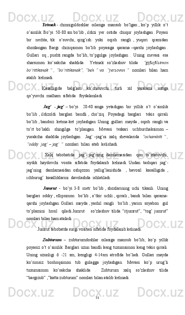                 Yetmak  -  chinniguldoshlar  oilasiga  mansub  bo’lgan , ko’p  yillik  o’t
o’simlik. Bo’yi  50-80 sm bo’lib , ildizi  yer  ostida  chuqur  joylashgan . Poyasi
bir     nechta,   tik     o’suvchi,   qizg’ish     yoki     oqish     rangli   ,   yuqori     qismidan
shoxlangan. Bargi   chiziqsimon   bo’lib   poyasiga   qarama –qarshi   joylashgan .
Gullari   oq , pushti rangda   bo’lib, to’pgulga   joylashgan .   Uning   mevasi   esa
sharsimon     ko’sakcha     shaklida.       Yetmak     so’zlashuv     tilida       “gifsofilsimon
bo’ritikanak  “ , “bo’ritikanak“,  “beh  “ va    “yersovun  “    nomlari    bilan   ham
atalib  kelinadi. 
Kasalligida     balg’am     ko’chiruvchi   ,   turli     xil     yaralarni     ustiga
qo’yuvchi  malham  sifatida   foydalaniladi. 
                        Jag’   - jag’   –   bo’yi     20-40 smga   yetadigan   bir   yillik   o’t   o’simlik
bo’lib   ,  ildizoldi     barglari     bandli   ,  cho’ziq   .  Poyadagi     barglari       tekis     qirrali
bo’lib , bandsiz  ketma-ket  joylashgan .Uning  gullari  mayda , oqish  rangli va
to’rt   bo’lakli     shingilga     to’plangan.     Mevasi     teskari     uchburchaksimon   –
yurakcha   shaklda   joylashgan .   Jag’ –jag’ni   xalq   shevalarida    “ochambiti “ ,
“oddiy  jag’ – jag’ “   nomlari  bilan  atab  kelishadi. 
                       Xalq   tabobatida     jag’- jag’ning   damlamasidan     qon   to’xtatuvchi,
siydik   haydovchi   vosita   sifatida   foydalanib   kelinadi. Undan   tashqari   jag’-
jag’ning     damlamasidan   oshqozon     yallig’lanishida     ,   bavosil     kasalligida   ,
ichburug’  kasalliklarini  davolashda  ishlatiladi. 
                        Jumrut    -     bo’yi 3-8   metr   bo’lib , shoxlarining   uchi   tikanli . Uning
barglari  oddiy , ellipsimon   bo’lib , o’tkir  uchli , qirrali , bandi  bilan  qarama-
qarshi  joylashgan. Gullari  mayda , yashil  rangli   bo’lib , yarim  soyabon   gul
to’plamini     hosil     qiladi.Jumrut       so’zlashuv   tilida   “itjumrut”,   “tog’   jumrut”
nomlari bilan ham ataladi. 
          Jumrut tabobatda surgi vositasi sifatida foydalanib kelinadi.  
      Zubturum   –   zubturumdoshlar   oilasiga   mansub   bo’lib,   ko’p   yillik
poyasiz o’t  o’simlik. Barglari uzun bandli keng tuxumsimon keng tekis qirrali.
Uning   uzunligi   6   -21   sm,   kengligi   4-14sm   atrofida   bo’ladi.   Gullari   mayda
ko’rimsiz   boshoqsimon   tub   gulagga   joylashgan.   Mevasi   ko’p   urug’li
tuxumsimon   ko’sakcha   shaklida   .   Zubturum   xalq   so’zlashuv   tilida
“bargizub” ,”katta zubturum” nomlari bilan atalib kelinadi.  
31 