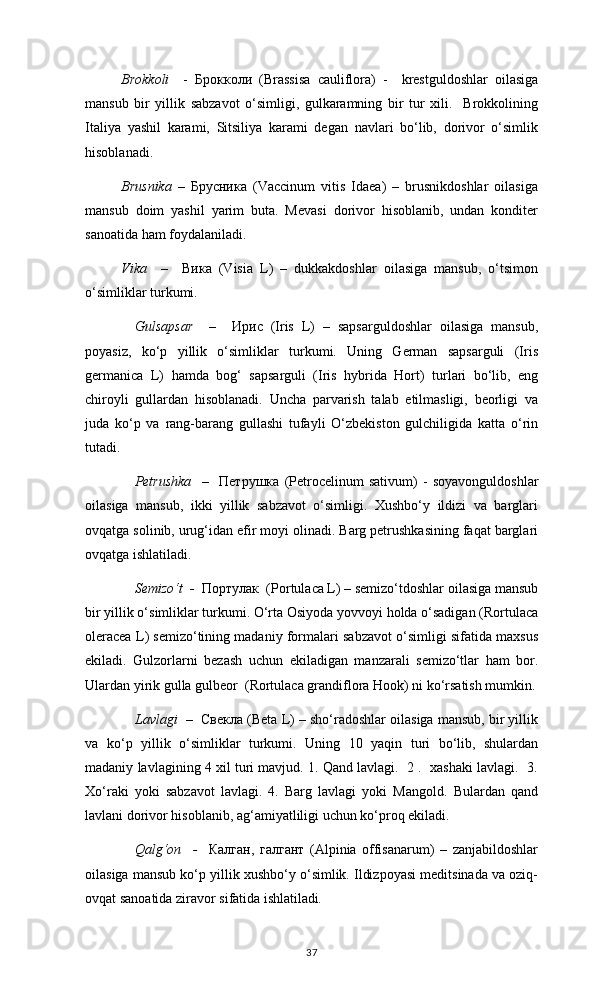 Brokkoli     -   Брокколи   (Brassisa   сauliflora)   -     krestguldoshlar   oilasiga
mansub   bir   yillik   sabzavot   o‘simligi,   gulkaramning   bir   tur   xili.     Brokkolining
Italiya   yashil   karami,   Sitsiliya   karami   degan   navlari   bo‘lib,   dorivor   o‘simlik
hisoblanadi. 
Brusnika   –   Брусника   (Vaссinum   vitis   Idaea)   –   brusnikdoshlar   oilasiga
mansub   doim   yashil   yarim   buta.   Mevasi   dorivor   hisoblanib,   undan   konditer
sanoatida ham foydalaniladi. 
Vika     –     Вика   (Visia   L)   –   dukkakdoshlar   oilasiga   mansub,   o‘tsimon
o‘simliklar turkumi. 
Gulsapsar     –     Ирис   (Iris   L)   –   sapsarguldoshlar   oilasiga   mansub,
poyasiz,   ko‘p   yillik   o‘simliklar   turkumi.   Uning   German   sapsarguli   (Iris
germaniсa   L)   hamda   bog‘   sapsarguli   (Iris   hbrida   Hort)   turlari   bo‘lib,   eng
chiroyli   gullardan   hisoblanadi.   Uncha   parvarish   talab   etilmasligi,   beorligi   va
juda   ko‘p   va   rang-barang   gullashi   tufayli   O‘zbekiston   gulchiligida   katta   o‘rin
tutadi.  
Petrushka     –     Петрушка   (Petrocelinum   sativum)   -   soyavonguldoshlar
oilasiga   mansub,   ikki   yillik   sabzavot   o‘simligi.   Xushbo‘y   ildizi   va   barglari
ovqatga solinib, urug‘idan efir moyi olinadi. Barg petrushkasining faqat barglari
ovqatga ishlatiladi. 
Semizo‘t  -   Портулак  (Portulaсa L) – semizo‘tdoshlar oilasiga mansub
bir yillik o‘simliklar turkumi. O‘rta Osiyoda yovvoyi holda o‘sadigan (Rortulaсa
oleraсea L) semizo‘tining madaniy formalari sabzavot o‘simligi sifatida maxsus
ekiladi.   Gulzorlarni   bezash   uchun   ekiladigan   manzarali   semizo‘tlar   ham   bor.
Ulardan yirik gulla gulbeor  (Rortulaсa grandiflora Hook) ni ko‘rsatish mumkin.
Lavlagi  –    Свекла (Beta L) – sho‘radoshlar oilasiga mansub, bir yillik
va   ko‘p   yillik   o‘simliklar   turkumi.   Uning   10   yaqin   turi   bo‘lib,   shulardan
madaniy lavlagining 4 xil turi mavjud. 1. Qand lavlagi.  2 .  xashaki lavlagi.  3.
Xo‘raki   yoki   sabzavot   lavlagi.   4.   Barg   lavlagi   yoki   Mangold.   Bulardan   qand
lavlani dorivor hisoblanib, ag‘amiyatliligi uchun ko‘proq ekiladi. 
Qalg‘on     -     Калган,   галгант   (Alpinia   offisanarum)   –   zanjabildoshlar
oilasiga mansub ko‘p yillik xushbo‘y o‘simlik. Ildizpoyasi meditsinada va oziq-
ovqat sanoatida ziravor sifatida ishlatiladi .
37 