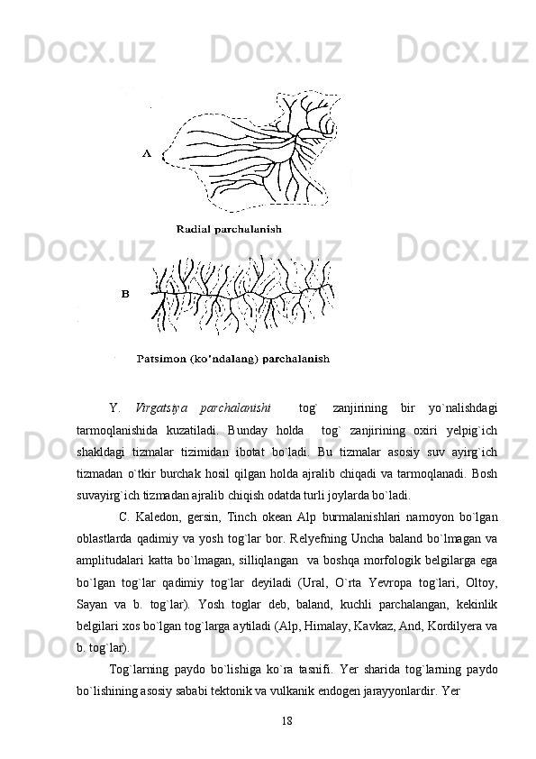 Y.   Virgatsiya   parchalanishi     tog`   zanjirining   bir   yo`nalishdagi
tarmoqlanishida   kuzatiladi.   Bunday   holda     tog`   zanjirining   oxiri   yelpig`ich
shakldagi   tizmalar   tizimidan   ibotat   bo`ladi.   Bu   tizmalar   asosiy   suv   ayirg`ich
tizmadan   o`tkir   burchak  hosil   qilgan   holda  ajralib   chiqadi   va   tarmoqlanadi.   Bosh
suvayirg`ich tizmadan ajralib chiqish odatda turli joylarda bo`ladi.
    C.   Kaledon,   gersin,   Tinch   okean   Alp   burmalanishlari   namoyon   bo`lgan
oblastlarda   qadimiy   va   yosh   tog`lar   bor.   Relyefning   Uncha   baland   bo`lmagan   va
amplitudalari   katta   bo`lmagan,   silliqlangan     va   boshqa   morfologik   belgilarga   ega
bo`lgan   tog`lar   qadimiy   tog`lar   deyiladi   (Ural,   O`rta   Yevropa   tog`lari,   Oltoy,
Sayan   va   b.   tog`lar).   Yosh   toglar   deb,   baland,   kuchli   parchalangan,   kekinlik
belgilari xos bo`lgan tog`larga aytiladi (Alp, Himalay, Kavkaz, And, Kordilyera va
b. tog`lar).
Tog`larning   paydo   bo`lishiga   ko`ra   tasnifi.   Yer   sharida   tog`larning   paydo
bo`lishining asosiy sababi tektonik va vulkanik endogen jarayyonlardir. Yer 
18 