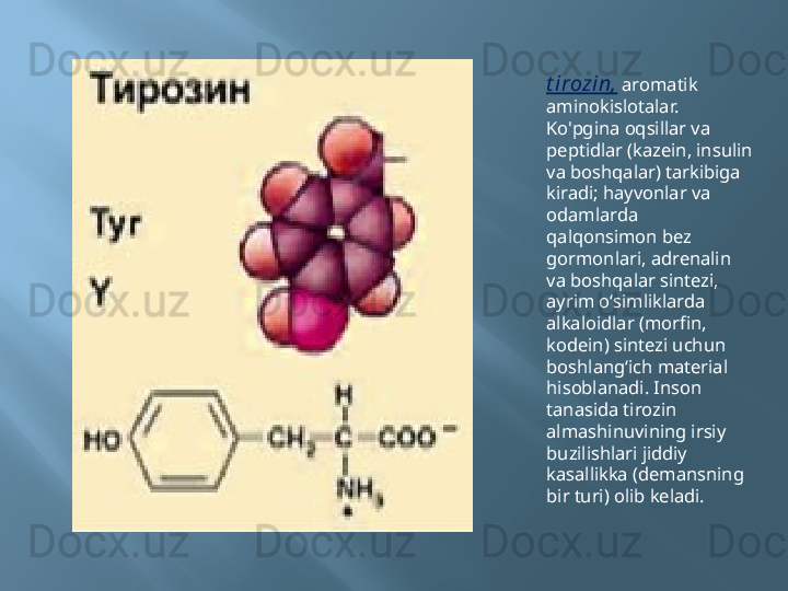 t irozin,   aromatik 
aminokislotalar. 
Ko'pgina oqsillar va 
peptidlar (kazein, insulin 
va boshqalar) tarkibiga 
kiradi; hayvonlar va 
odamlarda 
qalqonsimon bez 
gormonlari, adrenalin 
va boshqalar sintezi, 
ayrim oʻsimliklarda 
alkaloidlar (morfin, 
kodein) sintezi uchun 
boshlangʻich material 
hisoblanadi. Inson 
tanasida tirozin 
almashinuvining irsiy 
buzilishlari jiddiy 
kasallikka (demansning 
bir turi) olib keladi. 