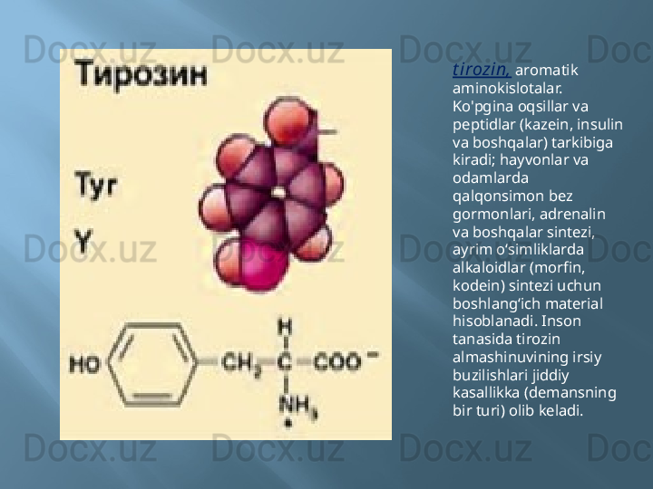 t irozin,   aromatik 
aminokislotalar. 
Ko'pgina oqsillar va 
peptidlar (kazein, insulin 
va boshqalar) tarkibiga 
kiradi; hayvonlar va 
odamlarda 
qalqonsimon bez 
gormonlari, adrenalin 
va boshqalar sintezi, 
ayrim oʻsimliklarda 
alkaloidlar (morfin, 
kodein) sintezi uchun 
boshlangʻich material 
hisoblanadi. Inson 
tanasida tirozin 
almashinuvining irsiy 
buzilishlari jiddiy 
kasallikka (demansning 
bir turi) olib keladi.