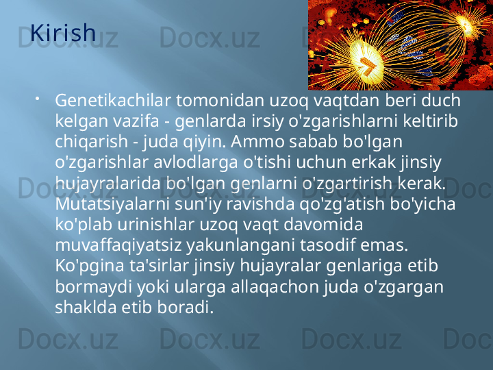 Kirish  

Genetikachilar tomonidan uzoq vaqtdan beri duch 
kelgan vazifa - genlarda irsiy o'zgarishlarni keltirib 
chiqarish - juda qiyin. Ammo sabab bo'lgan 
o'zgarishlar avlodlarga o'tishi uchun erkak jinsiy 
hujayralarida bo'lgan genlarni o'zgartirish kerak.
Mutatsiyalarni sun'iy ravishda qo'zg'atish bo'yicha 
ko'plab urinishlar uzoq vaqt davomida 
muvaffaqiyatsiz yakunlangani tasodif emas. 
Ko'pgina ta'sirlar jinsiy hujayralar genlariga etib 
bormaydi yoki ularga allaqachon juda o'zgargan 
shaklda etib boradi. 