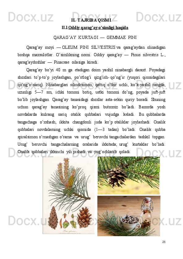 II. TAJRIBA QISMI .
II.1 Oddiy qarag’ay o’simligi haqida   
QARAG’AY  KURTAGI  —  GEMMAE  PINI
Qarag’ay   moyi  — OLEUM   PINI   SILVESTRIS va   qarag’aydan   olinadigan
boshqa  maxsulotlar.  O’simlikning  nomi.  Oddiy  qarag’ay  —  Pinus  silvestris  L.,
qarag’aydoshlar  —  Pinaceae  oilasiga  kiradi. 
Qarag’ay  bo’yi  40  m  ga  etadigan  doim  yashil  ninabargli  daraxt.  Poyadagi
shoxlari  to’p-to’p  joylashgan,  po’stlog’i  qizg’ish- qo’ng’ir  (yuqori  qismidagilari
qo’ng’ir-sariq).  Ninabarglari  silindrsimon,  qattiq  o’tkir  uchli,  ko’k-yashil  rangda,
uzunligi    5—7   sm,   ichki    tomoni    botiq,   ustki    tomoni    do’ng,   poyada    juft-juft
bo’lib  joylashgan.  Qarag’ay  tanasidagi  shoxlar  asta-sekin  quriy  boradi.  Shuning
uchun     qarag’ay     tanasining     ko’proq     qismi     butoxsiz     bo’ladi.     Baxorda     yosh
novdalarda     kulrang     sariq     otalik     qubbalari     vujudga     keladi.     Bu   qubbalarda
tangachaga   o’xshash,    ikkita   changdonli    juda   ko’p otaliklar    joylashadi.   Onalik
qubbalari     novdalarning     uchki     qismida     (1—3     tadan)     bo’ladi.     Onalik     qubba
spiralsimon o’rnashgan o’rama   va   urug’   beruvchi tangachalardan   tashkil  topgan.
Urug’     beruvchi     tangachalarning     oralarida     ikkitada;   urug’     kurtaklar     bo’ladi.
Onalik  qubbalari  ikkinchi  yili pishadi  va  yog’ochlanib  qoladi. 
21 