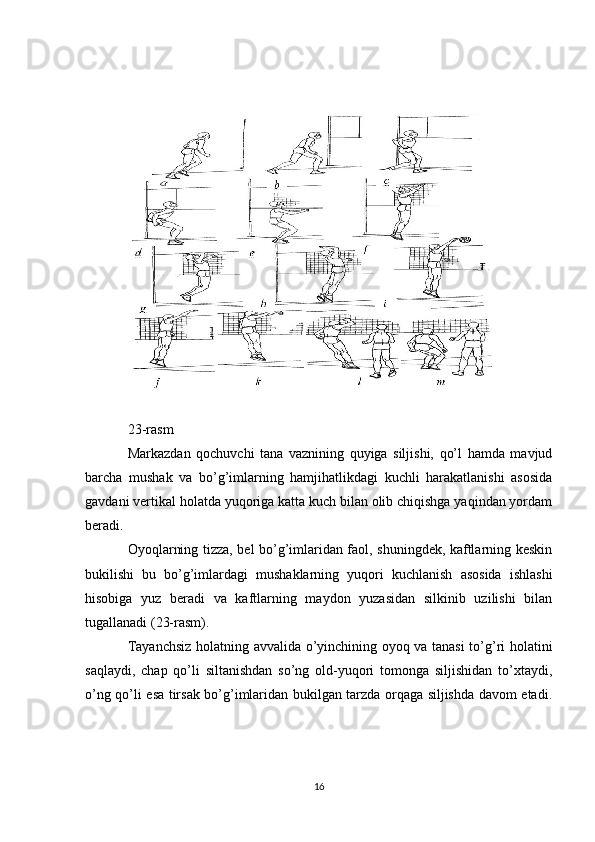 23-rasm
Markazdan   qochuvchi   tana   vaznining   quyiga   siljishi,   qo’l   hamda   mavjud
barcha   mushak   va   bo’g’imlarning   hamjihatlikdagi   kuchli   harakatlanishi   asosida
gavdani vertikal holatda yuqoriga katta kuch bilan olib chiqishga yaqindan yordam
beradi.
Oyoqlarning tizza, bel bo’g’imlaridan faol, shuningdek, kaftlarning keskin
bukilishi   bu   bo’g’imlardagi   mushaklarning   yuqori   kuchlanish   asosida   ishlashi
hisobiga   yuz   beradi   va   kaftlarning   maydon   yuzasidan   silkinib   uzilishi   bilan
tugallanadi (23-rasm).
Tayanchsiz holatning avvalida o’yinchining oyoq va tanasi to’g’ri holatini
saqlaydi,   chap   qo’li   siltanishdan   so’ng   old-yuqori   tomonga   siljishidan   to’xtaydi,
o’ng qo’li esa tirsak bo’g’imlaridan bukilgan tarzda orqaga siljishda davom etadi.
16 