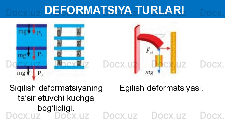   DEFORMATSIYA TURLARI
Siqilish deformatsiyaning 
ta’sir etuvchi kuchga 
bog‘liqligi. Egilish deformatsiyasi. 