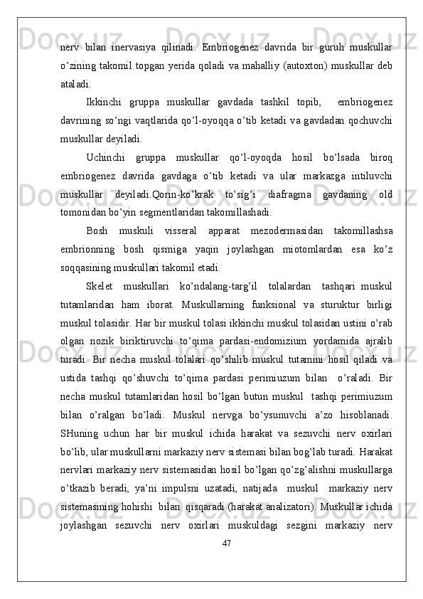 nerv   bilan   inervasiya   qilinadi.   Embriogenez   davrida   bir   guruh   muskullar
o’zining takomil topgan yerida qoladi va mahalliy (autoxton) muskullar deb
ataladi.
Ikkinchi   gruppa   muskullar   gavdada   tashkil   topib,     embriogenez
davrining so’ngi vaqtlarida qo’l-oyoqqa o’tib ketadi va gavdadan qochuvchi
muskullar deyiladi.
Uchinchi   gruppa   muskullar   qo’l-oyoqda   hosil   bo’lsada   biroq
embriogenez   davrida   gavdaga   o’tib   ketadi   va   ular   markazga   intiluvchi
muskullar   deyiladi.Qorin-ko’krak   to’sig’i   diafragma   gavdaning   old
tomonidan bo’yin segmentlaridan takomillashadi.
Bosh   muskuli   visseral   apparat   mezodermasidan   takomillashsa
embrionning   bosh   qismiga   yaqin   joylashgan   miotomlardan   esa   ko’z
soqqasining muskullari takomil etadi.
Skelet     muskullari     ko’ndalang-targ’il     tolalardan     tashqari   muskul
tutamlaridan   ham   iborat.   Muskullarning   funksional   va   sturuktur   birligi
muskul tolasidir. Har bir muskul tolasi ikkinchi muskul tolasidan ustini o’rab
olgan   nozik   biriktiruvchi   to’qima   pardasi-endomizium   yordamida   ajralib
turadi.   Bir   necha   muskul   tolalari   qo’shilib   muskul   tutamini   hosil   qiladi   va
ustida   tashqi   qo’shuvchi   to’qima   pardasi   perimiuzum   bilan     o’raladi.   Bir
necha   muskul   tutamlaridan   hosil   bo’lgan   butun   muskul     tashqi   perimiuzum
bilan   o’ralgan   bo’ladi.   Muskul   nervga   bo’ysunuvchi   a’zo   hisoblanadi.
SHuning   uchun   har   bir   muskul   ichida   harakat   va   sezuvchi   nerv   oxirlari
bo’lib, ular muskullarni markaziy nerv sistemasi bilan bog’lab turadi. Harakat
nervlari markaziy nerv sistemasidan hosil bo’lgan qo’zg’alishni muskullarga
o’tkazib   beradi,   ya’ni   impulsni   uzatadi,   natijada     muskul     markaziy   nerv
sistemasining hohishi  bilan  qisqaradi (harakat analizatori). Muskullar ichida
joylashgan   sezuvchi   nerv   oxirlari   muskuldagi   sezgini   markaziy   nerv
47 