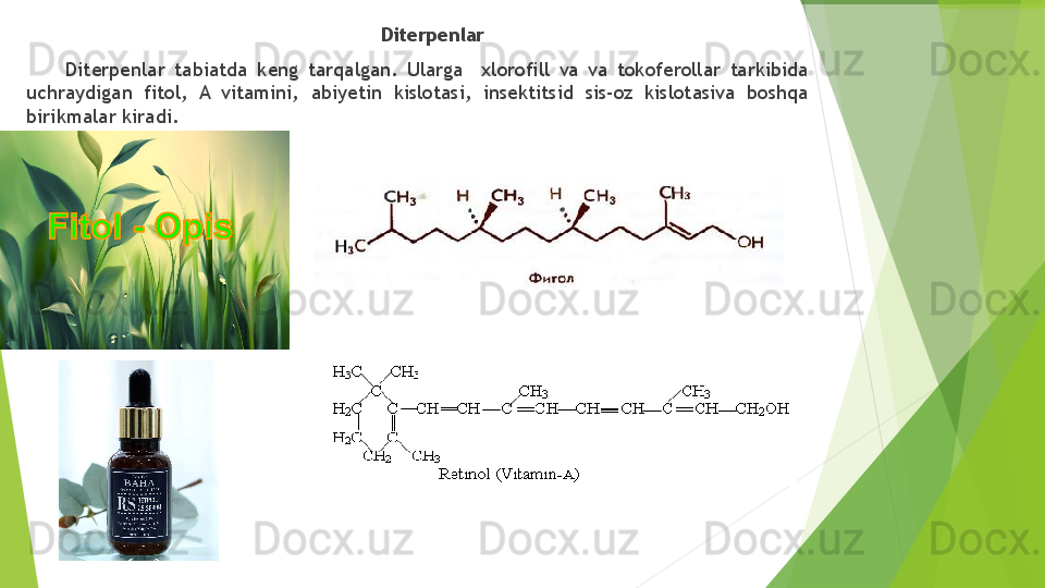 ▶     Diterpenlar
Diterpenlar   tabiatda   keng   tarqalgan.   Ularga     xlorofill   va   va   tokoferollar   tarkibida 
uchraydigan   fitol,   A   vitamini,   abiyetin   kislotasi,   insektitsid   sis- oz   kislotasiva   boshqa 
birikmalar   kiradi.         