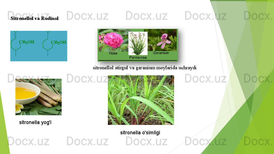 S itronellol va RodinolCH	2OH	CH	2OH
sitronellol atirgul va geranium moylarida uchraydi 
sitronella yog'i
sitronella o'simligi	CH	2OH	CH	2OH          