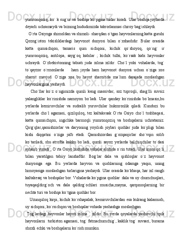yumronqoziq, ko` k sug`ur va boshqa ko`pgina turlar kiradi. Ular boshqa joylarda
deyarli uchramaydi va bizning hududimizda takrorlanmas chiroy bag`ishlaydi. 
   O`rta Osiyoga shimoldan va shimoli- sharqdan o`tgan hayvonlarning katta guruhi
Qozog`iston   tekisliklardagi   hayvonot   dunyosi   bilan   o`xshashdir.   Bular   orasida
katta   qumsichqon,   tamaris   qum   sichqoni,   kichik   qo`shoyoq,   qo`ng`   ir
yumronqoziq,   antilopa,   sayg`oq   kabilar   ;   kichik   tulki,   ko`rsak   kabi   hayvonlar
uchraydi.   O`zbekistonning   tabiati   juda   xilma   xildir.   Cho`l   yoki   vohalarda,   tog`
to`qayzor   o`rmonlarda     ham   joyda   ham   hayvonot   dunyosi   uchun   o`ziga   xos
sharoit   mavjud.   O`ziga   xos   bu   hayot   sharoitida   ma`lum   darajada   moslashgan
hayvonlargina yashaydi. 
      Cho`llar   ko`z   o`ngimizda   qumli   keng   massivlar,   soz   tuproqli,   shag`lli   suvsiz
yalangliklar   ko`rinishda   namoyon   bo`ladi.   Ular   qanday   ko`rinishda   bo`lmasin,bu
yerlarda   kemiruvchilar   va   sudralib   yuruvchilar   hukmronlik   qiladi.   Kunduzi   bu
yerlarda   cho`l   agamasi,   qizilquloq,   tez   kaltakesak   O`rta   Osiyo   cho`l   toshbaqasi,
katta   qumsichqon,   ingichka   barmoqli   yumronqoziq   va   boshqalarni   uchratamiz.
Qirg`qlar,qamishzorlar   va   daryoning   yoyilish   joylari   qushlar   juda   ko`pligi   bilan
kishi   diqqatini   o`ziga   jalb   etadi.   Qamishzordan   g`ozqanjirlar   sho`vqin   solib
ko`tariladi,   shu   atrofda   kakku   bo`ladi,   qumli   sayoz   yerlarda   balchiqchilar   to`dasi
aylanib yuradi ; O`rta Osiyo hududida vohalar alohida o`rin tutadi. Ular inson qo`li
bilan   yaratilgan   tabiiy   lanshafdir.   Bog`lar   dala   va   qishloqlar   o`z   hayvonot
dunyosiga   ega.   Bu   yerlarda   hayvon   va   qushlarning   odamga   yaqin,   uning
himoyasiga moslashgan turlarigina yashaydi.   Ular orasida ko`kbaqa, har xil rangli
kaltakesaj va boshqalar bor. Vohalarda ko`pgina qushlar :dala va uy chumchuqlari,
tuyaqaqldirg`och   va   dala   qaldirg`ochlari   musicha,mayna,   qarqunoqlarning   bir
nechta turi va boshqa ko`tgina qushlar bor. 
     Uzunquloq kirpi, kichik ko`rshapalak, kemiruvchilardan esa kulrang kalamush,
uy sichqoni, ko`rsichqon va boshqalar vohada yashashga moslashgan. 
  Tog`lardagi  hayvonlar  hayoti xilma  xildir. Bu yerda qoyalarda yashovchi  tipik	

hayvonlarni :turkiston agamasi, tog` fatmachumchig`, kaklik tog` suvsari, burama
shoxli echki va boshqalarni ko`rish mumkin.  