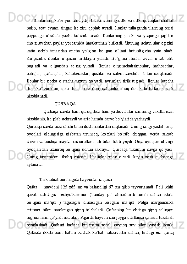      Ilonlarning ko`zi yumulmaydi, chunki ularning ustki va ostki qovoqlari shaffof
bolib,   soat   oynasi   singari   ko`zini   qoplab   turadi.   Ilonlar   tullaganda   ularning   terisi
paypoqga   o`xshab   yaxlit   ko`chib   turadi.   Ilonlarning   pastki   va   yuqoriga   jag`lari
cho`ziluvchan paylar yordamida harakatchan birikadi. Shuning uchun ular og`zini
katta   ochib   tanasidan   ancha   yo`g`on   bo`lgan   o`ljani   butunligicha   yuta   oladi.
Ko`pchilik   ilonlar   o`ljasini   tiriklayin   yutadi.   Bo`g`ma   ilonlar   avval   o`rab   olib
bog`adi   va   o`lgandan   so`ng   yutadi.   Ilonlar   o`rgimchaksimonlar,   hashorotlar,
baliqlar,   qurbaqalar,   kaltakesaklar,   qushlar   va   sutemizuvchilar   bilan   oziqlanadi.
Ilonlar   bir   necha   o`rtacha   tuxum   qo`yadi,   ayrimlari   tirik   tug`adi.   Ilonlar   kapcha
ilon,   ko`lvor   ilon,   qora   ilon,   charx   ilon,   qalqontumshuq   ilon   kabi   turlari   zaxarli
hisoblanadi. 
                         QURBAQA
                    Qurbaqa   suvda   ham   quruqlikda   ham   yashovchilar   sinfining   vakillaridan
hisoblanib, ko`plab uchraydi va ariq hamda daryo bo`ylarida yashaydi. 
Qurbaqa suvda suza olishi bilan dushmanlardan saqlanadi. Uning rangi yashil, orqa
oyoqlari   oldingisiga   nisbatan   uzunroq,   ko`zlari   bo`rtib   chiqqan,   yerda   sakrab
chivin va boshqa mayda hashorotlarni tili bilan tutib yeydi. Orqa oyoqlari oldingi
oyoqlaridan   uzunroq   bo`lgani   uchun   sakraydi.   Qurbaqa   tuxumini   suvga   qo`yadi.
Uning   tuxumidan   itbaliq   chiqadi.   Itbaliqlar   sekin   o`sadi,   keyin   yosh   qurbaqaga
aylanadi. 
       
           Tirik tabiat burchagida hayvonlar saqlash
Qafas     maydoni   125   x65   sm   va   balandligi   67   sm   qilib   tayyorlanadi.   Poli   ichki
qavat:   ustidagisi   reshyotkasimon   (bunday   pol   almashtirib   turish   uchun   ikkita
bo`lgani   ma`qul   )   tagidagisi   olinadigan   bo`lgani   ma`qul.   Polga   margansofka
eritmasi   bilan   namlangan   qipiq   to`shaladi.   Qafasning   bir   chetiga   qipiq   solingan
tog`ora ham qo`yish mumkin. Agarda hayvon shu joyga odatlansa qafasni tozalash
osonlashadi.   Qafasni   haftada   bir   marta   sodali   qaynoq   suv   bilan   yuvish   kerak.
Qafasda   ikkita   oxir:   kattasi   xashak   ko`kat,   sabzavotlar   uchun,   kichigi   esa   quruq 