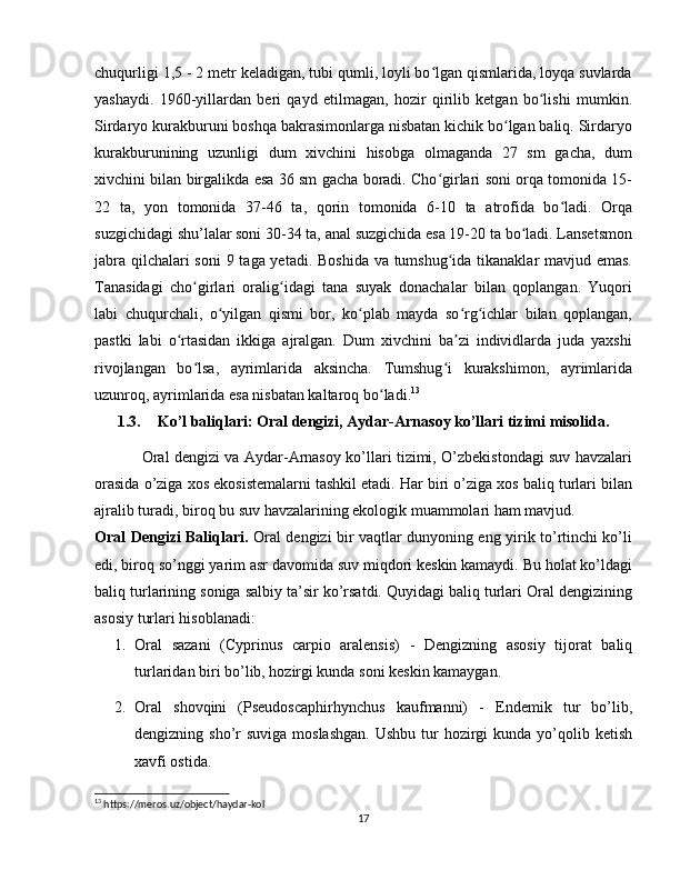 chuqurligi 1,5 - 2 metr keladigan, tubi qumli, loyli bo lgan qismlarida, loyqa suvlardaʻ
yashaydi.   1960-yillardan   beri   qayd   etilmagan,   hozir   qirilib   ketgan   bo lishi   mumkin.	
ʻ
Sirdaryo kurakburuni boshqa bakrasimonlarga nisbatan kichik bo lgan baliq. Sirdaryo	
ʻ
kurakburunining   uzunligi   dum   xivchini   hisobga   olmaganda   27   sm   gacha,   dum
xivchini bilan birgalikda esa 36 sm gacha boradi. Cho girlari soni orqa tomonida 15-	
ʻ
22   ta,   yon   tomonida   37-46   ta,   qorin   tomonida   6-10   ta   atrofida   bo ladi.   Orqa	
ʻ
suzgichidagi shu’lalar soni 30-34 ta, anal suzgichida esa 19-20 ta bo ladi. Lansetsmon	
ʻ
jabra qilchalari  soni  9 taga yetadi. Boshida  va tumshug ida tikanaklar  mavjud emas.	
ʻ
Tanasidagi   cho girlari   oralig idagi   tana   suyak   donachalar   bilan   qoplangan.   Yuqori	
ʻ ʻ
labi   chuqurchali,   o yilgan   qismi   bor,   ko plab   mayda   so rg ichlar   bilan   qoplangan,	
ʻ ʻ ʻ ʻ
pastki   labi   o rtasidan   ikkiga   ajralgan.   Dum   xivchini   ba zi   individlarda   juda   yaxshi	
ʻ ʼ
rivojlangan   bo lsa,   ayrimlarida   aksincha.   Tumshug i   kurakshimon,   ayrimlarida	
ʻ ʻ
uzunroq, ayrimlarida esa nisbatan kaltaroq bo ladi.	
ʻ 13
1.3. Ko’l baliqlari: Oral dengizi, Aydar-Arnasoy ko’llari tizimi misolida.
Oral dengizi va Aydar-Arnasoy ko’llari tizimi, O’zbekistondagi suv havzalari
orasida o’ziga xos ekosistemalarni tashkil etadi. Har biri o’ziga xos baliq turlari bilan
ajralib turadi, biroq bu suv havzalarining ekologik muammolari ham mavjud.
Oral Dengizi Baliqlari.   Oral dengizi bir vaqtlar dunyoning eng yirik to’rtinchi ko’li
edi, biroq so’nggi yarim asr davomida suv miqdori keskin kamaydi. Bu holat ko’ldagi
baliq turlarining soniga salbiy ta’sir ko’rsatdi. Quyidagi baliq turlari Oral dengizining
asosiy turlari hisoblanadi:
1. Oral   sazani   (Cyprinus   carpio   aralensis)   -   Dengizning   asosiy   tijorat   baliq
turlaridan biri bo’lib, hozirgi kunda soni keskin kamaygan.
2. Oral   shovqini   (Pseudoscaphirhynchus   kaufmanni)   -   Endemik   tur   bo’lib,
dengizning sho’r  suviga moslashgan.  Ushbu  tur  hozirgi  kunda yo’qolib ketish
xavfi ostida.
13
 https://meros.uz/object/haydar-kol
17 