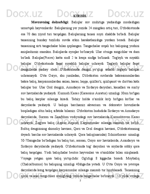 KIRISH.
Mavzuvning   dolzarbligi:   Baliqlar   suv   muhitiga   yashashga   moslashgan
umurtqali hayvonlardir. Baliqlarning yer yuzida 24 mingdan ortiq turi, O'zbekistonda
esa   70   dan   ziyod   turi   tarqalgan.   Baliqlarning   tanasi   suyri   shaklda   bo'ladi.   Baliqlar
tanasining   bunday   tuzilishi   suvda   erkin   harakatlanishga   yordam   beradi.   Baliqlar
tanasining sirti tangachalar bilan qoplangan. Tangachalar orqali biz baliqning yoshini
aniqlashimiz mumkin. Baliqlarda oyoqlar bo'lmaydi. Ular  o'rniga suzgichlar  va dum
bo'ladi.   Baliqlar(Pisces)   katta   sinfi   2   ta   kenja   sinfga   bo'linadi.   Tog'ayli   va   suyakli
baliqlar.   O'zbekistonda   faqat   suyaklili   baliqlar   uchraydi.   Tog'ayli   baliqlar   faqat
dengizlarda   yashay   oladi.   O'zbekistonda   dengiz   yo'qligi   sababli   tog'ayli   baliqlar
uchramaydi.   O'rta   Osiyo,   shu   jumladan,   O'zbekiston   suvlarida   bakrasimonlardan
bakra baliq, karpsimonlardan sazan, karas, laqqa, qizilko'z, qizilqanot va cho'rtan kabi
baliqlar  bor. Ular  Orol  dengizi,  Amudaryo va Sirdaryo daryolari, kanallari  va sun'iy
suv havzalarida yashaydi. Kumush Karas (Karassius Auratus) uzunligi 30sm bo'lgan
bu   baliq   karplar   oilasiga   kiradi.   Tabiiy   holda   o'simlik   ko'p   bo'lgan   ko'llar   va
daryolarda   yashaydi.   U   baliqni   barchamiz   akvarium   va   dekorativ   hovuzlarda
boqiladigan oltin baliq sifatida bilamiz. O'zbekiston hududida Sirdaryo va Amudaryo
daryolarida,   Surxon   va   Zarafshon   vodiysidagi   suv   havzalarida   Kumushtovon   Karas
uchraydi.   Zog'ora   baliq   (Aspius   Aspius)   Karpsimonlar   oilasiga   mansub   tur   bo'lib,
Boltiq dengizining shimoliy havzasi,  Qorz va Orol  dengizi  havzasi,  O'zbekistonning
deyarli barcha suv havzalarida uchraydi. Qora baliq(marinka) Schizothorax- uzunligi
50-70smgacha bo'ladigan bu baliq turi, asosan, Osiyo suv havzalarida, Amudaryo va
Sirdaryo   daryolarida   yashaydi.   O'zbekistonda   tog'   daryolari   va   soylarda   oddiy   qora
baliq   tarqalgan.   Yosh   baliqchalar   bentos   hayvonlari   va   o'simliklar   bilan   oziqlanadi.
Voyaga   yetgan   qora   baliq   yirtqichdir.   Og'irligi   8   kggacha   boradi.   Moybaliq
(Chalcalburnus)   bu   baliqning   uzunligi   40shgacha   yetadi.   U   O'rta   Osiyo   va   yevropa
daryolarida keng tarqalgan karpsimonlar oilasiga mansub tur hisoblanadi. Tanasining
qorin va anal suzgichlari oralig'idagi terisida tangachalar bo'lmaydi. 2-3 yilda voyaga
2 