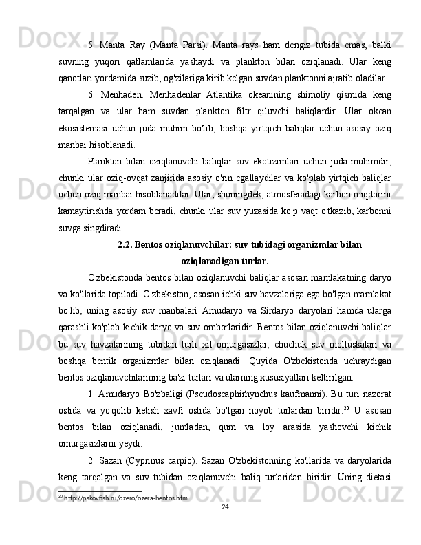 5.   Manta   Ray   (Manta   Parsi).   Manta   rays   ham   dengiz   tubida   emas,   balki
suvning   yuqori   qatlamlarida   yashaydi   va   plankton   bilan   oziqlanadi.   Ular   keng
qanotlari yordamida suzib, og'zilariga kirib kelgan suvdan planktonni ajratib oladilar.
6.   Menhaden.   Menhadenlar   Atlantika   okeanining   shimoliy   qismida   keng
tarqalgan   va   ular   ham   suvdan   plankton   filtr   qiluvchi   baliqlardir.   Ular   okean
ekosistemasi   uchun   juda   muhim   bo'lib,   boshqa   yirtqich   baliqlar   uchun   asosiy   oziq
manbai hisoblanadi.
Plankton   bilan   oziqlanuvchi   baliqlar   suv   ekotizimlari   uchun   juda   muhimdir,
chunki  ular  oziq-ovqat  zanjirida asosiy  o'rin egallaydilar  va ko'plab yirtqich baliqlar
uchun oziq manbai hisoblanadilar. Ular, shuningdek, atmosferadagi karbon miqdorini
kamaytirishda   yordam   beradi,   chunki   ular   suv   yuzasida   ko'p   vaqt   o'tkazib,  karbonni
suvga singdiradi.
2.2. Bentos oziqlanuvchilar: suv tubidagi organizmlar bilan
oziqlanadigan turlar.
O'zbekistonda bentos bilan oziqlanuvchi baliqlar asosan mamlakatning daryo
va ko'llarida topiladi. O'zbekiston, asosan ichki suv havzalariga ega bo'lgan mamlakat
bo'lib,   uning   asosiy   suv   manbalari   Amudaryo   va   Sirdaryo   daryolari   hamda   ularga
qarashli ko'plab kichik daryo va suv omborlaridir. Bentos bilan oziqlanuvchi baliqlar
bu   suv   havzalarining   tubidan   turli   xil   omurgasizlar,   chuchuk   suv   molluskalari   va
boshqa   bentik   organizmlar   bilan   oziqlanadi.   Quyida   O'zbekistonda   uchraydigan
bentos oziqlanuvchilarining ba'zi turlari va ularning xususiyatlari keltirilgan:
1.   Amudaryo   Bo'zbaligi   (Pseudoscaphirhynchus   kaufmanni).   Bu   turi   nazorat
ostida   va   yo'qolib   ketish   xavfi   ostida   bo'lgan   noyob   turlardan   biridir. 20
  U   asosan
bentos   bilan   oziqlanadi,   jumladan,   qum   va   loy   arasida   yashovchi   kichik
omurgasizlarni yeydi.
2.   Sazan   (Cyprinus   carpio).   Sazan   O'zbekistonning   ko'llarida   va   daryolarida
keng   tarqalgan   va   suv   tubidan   oziqlanuvchi   baliq   turlaridan   biridir.   Uning   dietasi
20
 http://pskovfish.ru/ozero/ozera-bentos.htm
24 