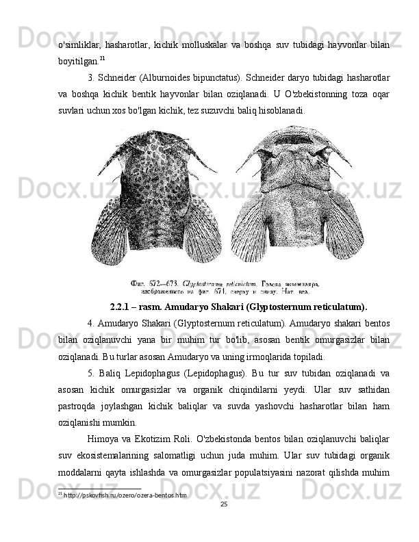 o'simliklar,   hasharotlar,   kichik   molluskalar   va   boshqa   suv   tubidagi   hayvonlar   bilan
boyitilgan. 21
3. Schneider (Alburnoides bipunctatus). Schneider daryo tubidagi hasharotlar
va   boshqa   kichik   bentik   hayvonlar   bilan   oziqlanadi.   U   O'zbekistonning   toza   oqar
suvlari uchun xos bo'lgan kichik, tez suzuvchi baliq hisoblanadi.
2.2.1 – rasm. Amudaryo Shakari (Glyptosternum reticulatum).
4. Amudaryo Shakari (Glyptosternum reticulatum). Amudaryo shakari bentos
bilan   oziqlanuvchi   yana   bir   muhim   tur   bo'lib,   asosan   bentik   omurgasizlar   bilan
oziqlanadi. Bu turlar asosan Amudaryo va uning irmoqlarida topiladi.
5.   Baliq   Lepidophagus   (Lepidophagus).   Bu   tur   suv   tubidan   oziqlanadi   va
asosan   kichik   omurgasizlar   va   organik   chiqindilarni   yeydi.   Ular   suv   sathidan
pastroqda   joylashgan   kichik   baliqlar   va   suvda   yashovchi   hasharotlar   bilan   ham
oziqlanishi mumkin.
Himoya   va   Ekotizim   Roli.   O'zbekistonda   bentos   bilan   oziqlanuvchi   baliqlar
suv   ekosistemalarining   salomatligi   uchun   juda   muhim.   Ular   suv   tubidagi   organik
moddalarni   qayta   ishlashda   va   omurgasizlar   populatsiyasini   nazorat   qilishda   muhim
21
 http://pskovfish.ru/ozero/ozera-bentos.htm
25 