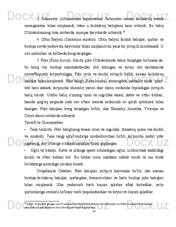 3.   Schneider   (Alburnoides   bipunctatus).   Schneider   asosan   kichikroq   bentik
omurgasizlar   bilan   oziqlanadi,   lekin   u   kichikroq   baliqlarni   ham   ovlaydi.   Bu   baliq
O'zbekistonning toza suvlarida, ayniqsa daryolarda uchraydi. 27
4.   Oltin   Balyoz   (Carassius   auratus).   Oltin   balyoz   kichik   baliqlar,   qurtlar   va
boshqa suvda yashovchi hayvonlar bilan oziqlanuvchi yana bir yirtqich hisoblanadi. U
suv omborlari va ko'llarda keng tarqalgan.
5. Pike (Esox lucius). Garchi pike O'zbekistonda tabiiy tarqalgan bo'lmasa-da,
bu   baliq   turi   boshqa   mamlakatlardan   olib   kelingan   va   ayrim   suv   havzalarida
muvaffaqiyatli   ko'paytirilgan.   Pike   yirik   va   kuchli   yirtqich   bo'lib,   asosan   kichikroq
baliqlar bilan oziqlanadi. Pike balig'i (Esox lucius), shuningdek, mahalliy tilida "pike"
deb  ham   ataladi,   ko'pincha   shimoliy  yarim   shar   shirin   suvlarida  topiladigan   yirtqich
baliq   turidir.   Ushbu   baliq   o'zining   uzun   va   ingichka   tanasi,   katta   va   o'tkir   tishlari,
hamda   qirg'oq   yaqinida   yoki   suv   o'tlari   orasida   yashirinib   ov   qilish   qobiliyati   bilan
tanilgan.   Pike   baliqlari   keng   tarqalgan   bo'lib,   ular   Shimoliy   Amerika,   Yevropa   va
Osiyo shirin suvlarida uchraydi.
Tavsifi va Xususiyatlari
 Tana tuzilishi : Pike balig'ining tanasi uzun va ingichka, dumaloq qismi esa kuchli
va   muskulli.   Tana   rangi   atrof-muhitga   moslashuvchan   bo'lib,   ko'pincha   yashil   yoki
jigarrang, suv o'tlariga o'xshash naqshlar bilan qoplangan.
 Og'iz va tishlari : Katta va oldinga qarab ochiladigan og'izi, uchburchak shaklidagi
kuchli   va   o'tkir   tishlari   bor.   Bu   tishlar   ovini   mahkam   ushlab   turish   va   uni   tezda
bo'laklarga ajratishga yordam beradi.
Ovqatlanish   Odatlari.   Pike   baliqlari   yirtqich   hayvonlar   bo'lib,   ular   asosan
boshqa   kichikroq   baliqlar,   qurbaqalar,   kemiruvchilar   va   hatto   boshqa   pike   baliqlari
bilan   oziqlanadi.   Ular   yashirinib   turib   hujum   qilishni   afzal   ko'radilar,   ya'ni
qurbonlariga sezilarli bo'lmay turib yaqinlashadilar va keyin tez hujum qiladilar.
27
 https://translate.google.com/translate?hl=ru&sl=uz&u=https://uz.petmypet.ru/3586-predatory-fish-names-
descriptions-and-features-of-pr.html&prev=search&pto=aue
31 