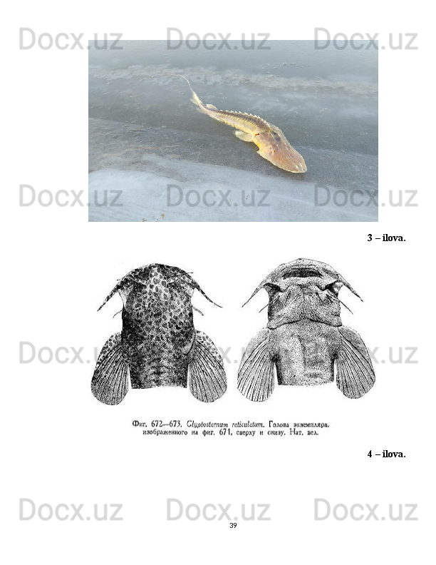 3 – ilova.
4 – ilova.
39 