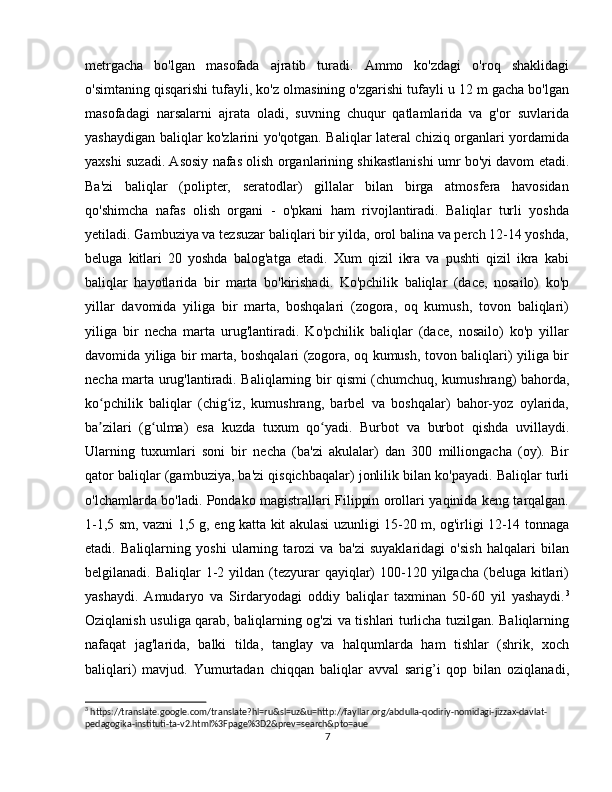metrgacha   bo'lgan   masofada   ajratib   turadi.   Ammo   ko'zdagi   o'roq   shaklidagi
o'simtaning qisqarishi tufayli, ko'z olmasining o'zgarishi tufayli u 12 m gacha bo'lgan
masofadagi   narsalarni   ajrata   oladi,   suvning   chuqur   qatlamlarida   va   g'or   suvlarida
yashaydigan baliqlar ko'zlarini yo'qotgan. Baliqlar lateral chiziq organlari yordamida
yaxshi suzadi. Asosiy nafas olish organlarining shikastlanishi umr bo'yi davom etadi.
Ba'zi   baliqlar   (polipter,   seratodlar)   gillalar   bilan   birga   atmosfera   havosidan
qo'shimcha   nafas   olish   organi   -   o'pkani   ham   rivojlantiradi.   Baliqlar   turli   yoshda
yetiladi. Gambuziya va tezsuzar baliqlari bir yilda, orol balina va perch 12-14 yoshda,
beluga   kitlari   20   yoshda   balog'atga   etadi.   Xum   qizil   ikra   va   pushti   qizil   ikra   kabi
baliqlar   hayotlarida   bir   marta   bo'kirishadi.   Ko'pchilik   baliqlar   (dace,   nosailo)   ko'p
yillar   davomida   yiliga   bir   marta,   boshqalari   (zogora,   oq   kumush,   tovon   baliqlari)
yiliga   bir   necha   marta   urug'lantiradi.   Ko'pchilik   baliqlar   (dace,   nosailo)   ko'p   yillar
davomida yiliga bir marta, boshqalari (zogora, oq kumush, tovon baliqlari) yiliga bir
necha marta urug'lantiradi. Baliqlarning bir qismi (chumchuq, kumushrang) bahorda,
ko pchilik   baliqlar   (chig iz,   kumushrang,   barbel   va   boshqalar)   bahor-yoz   oylarida,ʻ ʻ
ba zilari   (g ulma)   esa   kuzda   tuxum   qo yadi.   Burbot   va   burbot   qishda   uvillaydi.
ʼ ʻ ʻ
Ularning   tuxumlari   soni   bir   necha   (ba'zi   akulalar)   dan   300   milliongacha   (oy).   Bir
qator baliqlar (gambuziya, ba'zi qisqichbaqalar) jonlilik bilan ko'payadi. Baliqlar turli
o'lchamlarda bo'ladi. Pondako magistrallari Filippin orollari yaqinida keng tarqalgan.
1-1,5 sm, vazni 1,5 g, eng katta kit akulasi uzunligi 15-20 m, og'irligi 12-14 tonnaga
etadi.   Baliqlarning   yoshi   ularning   tarozi   va   ba'zi   suyaklaridagi   o'sish   halqalari   bilan
belgilanadi. Baliqlar  1-2 yildan  (tezyurar  qayiqlar)  100-120 yilgacha  (beluga kitlari)
yashaydi.   Amudaryo   va   Sirdaryodagi   oddiy   baliqlar   taxminan   50-60   yil   yashaydi. 3
Oziqlanish usuliga qarab, baliqlarning og'zi va tishlari turlicha tuzilgan. Baliqlarning
nafaqat   jag'larida,   balki   tilda,   tanglay   va   halqumlarda   ham   tishlar   (shrik,   xoch
baliqlari)   mavjud.   Yumurtadan   chiqqan   baliqlar   avval   sarig’i   qop   bilan   oziqlanadi,
3
 https://translate.google.com/translate?hl=ru&sl=uz&u=http://fayllar.org/abdulla-qodiriy-nomidagi-jizzax-davlat-
pedagogika-instituti-ta-v2.html%3Fpage%3D2&prev=search&pto=aue
7 