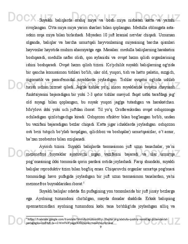 Suyakli   baliqlarda   oraliq   miya   va   bosh   miya   nisbatan   katta   va   yaxshi
rivojlangan.  O'rta miya miya yarim sharlari bilan qoplangan. Medulla oblongata asta-
sekin   orqa   miya   bilan   birlashadi.   Miyadan   10   juft   kranial   nervlar   chiqadi.   Umuman
olganda,   baliqlar   va   barcha   umurtqali   hayvonlarning   miyasining   barcha   qismlari
hayvonlar hayotida muhim ahamiyatga ega. Masalan: medulla baliqlarning harakatini
boshqaradi,   medulla   nafas   olish,   qon   aylanishi   va   ovqat   hazm   qilish   organlarining
ishini   boshqaradi.   Ovqat   hazm   qilish   tizimi.   Ko'pchilik   suyakli   baliqlarning   og'zida
bir qancha konussimon tishlari bo'lib, ular old, yuqori, tish va hatto palatin, suzgich,
zigomatik   va   parasfenoidal   suyaklarda   joylashgan.   Tishlar   ovqatni   og'izda   ushlab
turish   uchun   xizmat   qiladi.   Jag'da   tishlar   yo'q,   inson   suyaklarida   ovqatni   chaynash
funktsiyasini  bajaradigan bir  yoki  2-3 qator  tishlar  mavjud. faqat  ustki  tarafdagi  jag'
old   suyagi   bilan   qoplangan,   bu   suyak   yuqori   jag'ga   tutashgan   va   harakatchan.
Mo'ylovi   ikki   yoki   uch   juftdan   iborat.   Til   yo'q.   Orofarenksdan   ovqat   oshqozonga
ochiladigan   qizilo'ngachga   kiradi.   Oshqozon   sfinkter   bilan   bog'langan   bo'lib,   undan
bu   vazifani   bajaradigan   bezlar   chiqadi.   Katta   jigar   ichaklarda   joylashgan.   oshqozon
osti   bezi   tutqich   bo ylab   tarqalgan,  qilichboz   va   boshqalar)   umurtqasizlar,   o t   amur,ʻ ʻ
ba zan zoobentos bilan oziqlanadi.	
ʼ
Ayirish   tizimi.   Suyakli   baliqlarda   tasmasimon   juft   uzun   tanachalar,   ya’ni
mezenefros   buyraklar   ajratuvchi   organ   vazifasini   bajaradi   va   ular   umurtqa
pog’onasining ikki tomonida qorin pardasi ostida joylashadi. Farqi shundaki, suyakli
baliqlar reproduktiv tizim bilan bog'liq emas. Chiqaruvchi organlar umurtqa pog'onasi
tomonidagi   havo   pufagida   joylashgan   bir   juft   uzun   tasmasimon   tanalardan,   ya'ni
mezonefros buyraklaridan iborat. 5
Suyakli baliqlar odatda fin pufagining yon tomonlarida bir juft jinsiy bezlarga
ega.   Ayolning   tuxumdoni   cho'zilgan,   mayda   donalar   shaklida.   Erkak   baliqning
spermatozoidlari   ayolning   tuxumdoni   kabi   tana   bo'shlig'ida   joylashgan   silliq   va
5
 https://translate.google.com/translate?hl=ru&sl=uz&u=http://fayllar.org/abdulla-qodiriy-nomidagi-jizzax-davlat-
pedagogika-instituti-ta-v2.html%3Fpage%3D2&prev=search&pto=aue
9 