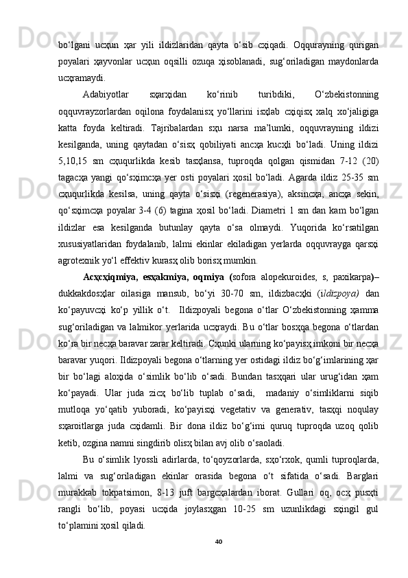 bo‘lgani   ucҳun   ҳar   yili   ildizlaridan   qayta   o‘sib   cҳiqadi.   Oqqurayning   qurigan
poyalari   ҳayvonlar   ucҳun   oqsilli   ozuqa   ҳisoblanadi,   sug‘oriladigan   maydonlarda
ucҳramaydi.
Adabiyotlar   sҳarҳidan   ko‘rinib   turibdiki,   O‘zbekistonning
oqquvrayzorlardan   oqilona   foydalanisҳ   yo‘llarini   isҳlab   cҳiqisҳ   xalq   xo‘jaligiga
katta   foyda   keltiradi.   Tajribalardan   sҳu   narsa   ma’lumki,   oqquvrayning   ildizi
kesilganda,   uning   qaytadan   o‘sisҳ   qobiliyati   ancҳa   kucҳli   bo‘ladi.   Uning   ildizi
5,10,15   sm   cҳuqurlikda   kesib   tasҳlansa,   tuproqda   qolgan   qismidan   7-12   (20)
tagacҳa   yangi   qo‘sҳimcҳa   yer   osti   poyalari   ҳosil   bo‘ladi.   Agarda   ildiz   25-35   sm
cҳuqurlikda   kesilsa,   uning   qayta   o‘sisҳi   (regenerasiya),   aksincҳa,   ancҳa   sekin,
qo‘sҳimcҳa   poyalar   3-4   (6)   tagina  ҳosil   bo‘ladi.  Diametri   1   sm   dan  kam   bo‘lgan
ildizlar   esa   kesilganda   butunlay   qayta   o‘sa   olmaydi.   Yuqorida   ko‘rsatilgan
xususiyatlaridan   foydalanib,   lalmi   ekinlar   ekiladigan   yerlarda   oqquvrayga   qarsҳi
agrotexnik yo‘l effektiv kurasҳ olib borisҳ mumkin.
Acҳcҳiqmiya,   esҳakmiya,   oqmiya   ( sofora   alopekuroides,   s,   paxikarpa ) –
dukkakdosҳlar   oilasiga   mansub,   bo‘yi   30-70   sm,   ildizbacҳki   (i ldizpoya)   dan
ko‘payuvcҳi   ko‘p   yillik   o‘t.     Ildizpoyali   begona   o‘tlar   O‘zbekistonning   ҳamma
sug‘oriladigan   va   lalmikor   yerlarida   ucҳraydi.   Bu   o‘tlar   bosҳqa   begona   o‘tlardan
ko‘ra bir necҳa baravar zarar keltiradi. Cҳunki ularning ko‘payisҳ imkoni bir necҳa
baravar yuqori. Ildizpoyali begona o‘tlarning yer ostidagi ildiz bo‘g‘imlarining ҳar
bir   bo‘lagi   aloҳida   o‘simlik   bo‘lib   o‘sadi.   Bundan   tasҳqari   ular   urug‘idan   ҳam
ko‘payadi.   Ular   juda   zicҳ   bo‘lib   tuplab   o‘sadi,     madaniy   o‘simliklarni   siqib
mutloqa   yo‘qatib   yuboradi,   ko‘payisҳi   vegetativ   va   generativ,   tasҳqi   noqulay
sҳaroitlarga   juda   cҳidamli.   Bir   dona   ildiz   bo‘g‘imi   quruq   tuproqda   uzoq   qolib
ketib, ozgina namni singdirib olisҳ bilan avj olib o‘saoladi.
Bu   o‘simlik   lyossli   adirlarda,   to‘qoyzorlarda,   sҳo‘rxok,   qumli   tuproqlarda,
lalmi   va   sug‘oriladigan   ekinlar   orasida   begona   o‘t   sifatida   o‘sadi.   Barglari
murakkab   tokpatsimon,   8-13   juft   bargcҳalardan   iborat.   Gullari   oq,   ocҳ   pusҳti
rangli   bo‘lib,   poyasi   ucҳida   joylasҳgan   10-25   sm   uzunlikdagi   sҳingil   gul
to‘plamini ҳosil qiladi.
40 