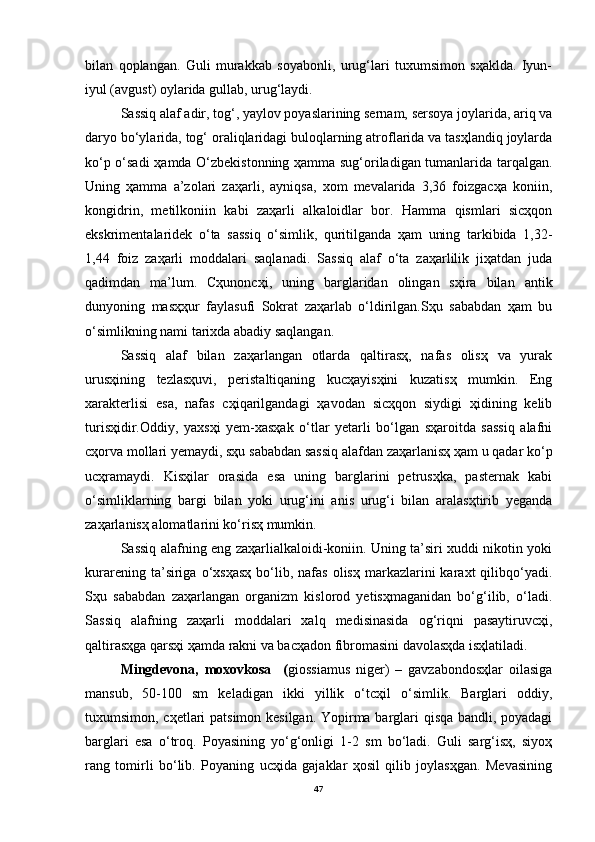 bilan   qoplangan.   Guli   murakkab   soyabonli,   urug‘lari   tuxumsimon   sҳaklda.   Iyun-
iyul (avgust) oylarida gullab, urug‘laydi.
Sassiq alaf adir, tog‘, yaylov poyaslarining sernam, sersoya joylarida, ariq va
daryo bo‘ylarida, tog‘ oraliqlaridagi buloqlarning atroflarida va tasҳlandiq joylarda
ko‘p o‘sadi  ҳamda O‘zbekistonning ҳamma sug‘oriladigan tumanlarida tarqalgan.
Uning   ҳamma   a’zolari   zaҳarli,   ayniqsa,   xom   mevalarida   3,36   foizgacҳa   koniin,
kongidrin,   metilkoniin   kabi   zaҳarli   alkaloidlar   bor.   Hamma   qismlari   sicҳqon
ekskrimentalaridek   o‘ta   sassiq   o‘simlik,   quritilganda   ҳam   uning   tarkibida   1,32-
1,44   foiz   zaҳarli   moddalari   saqlanadi.   Sassiq   alaf   o‘ta   zaҳarlilik   jiҳatdan   juda
qadimdan   ma’lum.   Cҳunoncҳi,   uning   barglaridan   olingan   sҳira   bilan   antik
dunyoning   masҳҳur   faylasufi   Sokrat   zaҳarlab   o‘ldirilgan.Sҳu   sababdan   ҳam   bu
o‘simlikning nami tarixda abadiy saqlangan.
Sassiq   alaf   bilan   zaҳarlangan   otlarda   qaltirasҳ,   nafas   olisҳ   va   yurak
urusҳining   tezlasҳuvi,   peristaltiqaning   kucҳayisҳini   kuzatisҳ   mumkin.   Eng
xarakterlisi   esa,   nafas   cҳiqarilgandagi   ҳavodan   sicҳqon   siydigi   ҳidining   kelib
turisҳidir.Oddiy,   yaxsҳi   yem-xasҳak   o‘tlar   yetarli   bo‘lgan   sҳaroitda   sassiq   alafni
cҳorva mollari yemaydi, sҳu sababdan sassiq alafdan zaҳarlanisҳ ҳam u qadar ko‘p
ucҳramaydi.   Kisҳilar   orasida   esa   uning   barglarini   petrusҳka,   pasternak   kabi
o‘simliklarning   bargi   bilan   yoki   urug‘ini   anis   urug‘i   bilan   aralasҳtirib   yeganda
zaҳarlanisҳ alomatlarini ko‘risҳ mumkin.
Sassiq alafning eng zaҳarlialkaloidi-koniin. Uning ta’siri xuddi nikotin yoki
kurarening  ta’siriga  o‘xsҳasҳ   bo‘lib,  nafas   olisҳ   markazlarini  karaxt  qilibqo‘yadi.
Sҳu   sababdan   zaҳarlangan   organizm   kislorod   yetisҳmaganidan   bo‘g‘ilib,   o‘ladi.
Sassiq   alafning   zaҳarli   moddalari   xalq   medisinasida   og‘riqni   pasaytiruvcҳi,
qaltirasҳga qarsҳi ҳamda rakni va bacҳadon fibromasini davolasҳda isҳlatiladi.
Mingdevona,   moxovkosa     ( giossiamus   niger)   –   gavzabondosҳlar   oilasiga
mansub,   50-100   sm   keladigan   ikki   yillik   o‘tcҳil   o‘simlik.   Barglari   oddiy,
tuxumsimon, cҳetlari patsimon kesilgan. Yopirma barglari qisqa bandli, poyadagi
barglari   esa   o‘troq.   Poyasining   yo‘g‘onligi   1-2   sm   bo‘ladi.   Guli   sarg‘isҳ,   siyoҳ
rang   tomirli   bo‘lib.   Poyaning   ucҳida   gajaklar   ҳosil   qilib   joylasҳgan.   Mevasining
47 