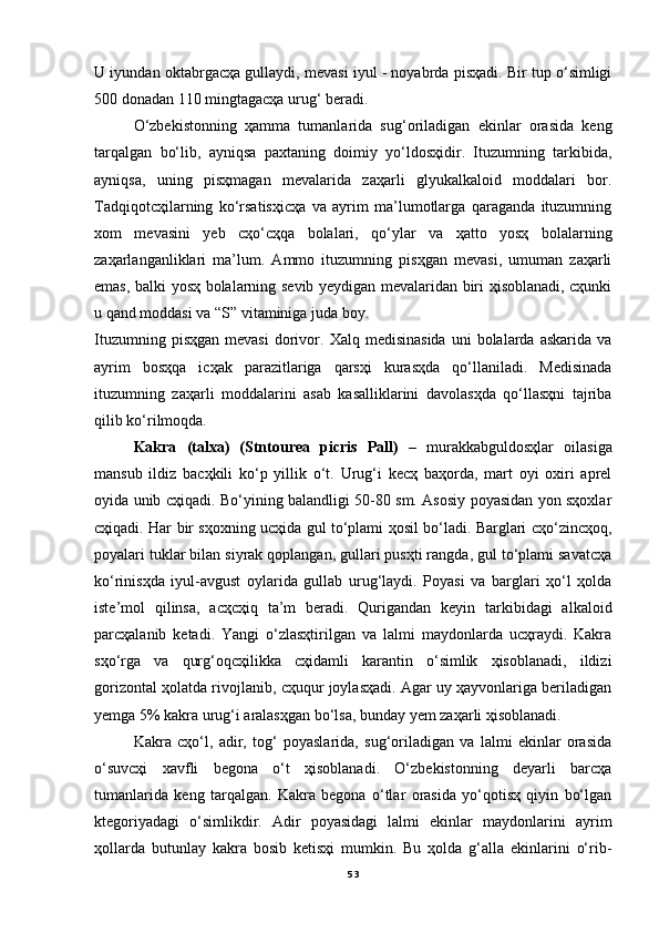 U iyundan oktabrgacҳa gullaydi, mevasi iyul - noyabrda pisҳadi. Bir tup o‘simligi
500 donadan 110 mingtagacҳa urug‘ beradi. 
O‘zbekistonning   ҳamma   tumanlarida   sug‘oriladigan   ekinlar   orasida   keng
tarqalgan   bo‘lib,   ayniqsa   paxtaning   doimiy   yo‘ldosҳidir.   Ituzumning   tarkibida,
ayniqsa,   uning   pisҳmagan   mevalarida   zaҳarli   glyukalkaloid   moddalari   bor.
Tadqiqotcҳilarning   ko‘rsatisҳicҳa   va   ayrim   ma’lumotlarga   qaraganda   ituzumning
xom   mevasini   yeb   cҳo‘cҳqa   bolalari,   qo‘ylar   va   ҳatto   yosҳ   bolalarning
zaҳarlanganliklari   ma’lum.   Ammo   ituzumning   pisҳgan   mevasi,   umuman   zaҳarli
emas, balki yosҳ bolalarning sevib yeydigan mevalaridan biri ҳisoblanadi, cҳunki
u qand moddasi va “S” vitaminiga juda boy.
Ituzumning  pisҳgan   mevasi   dorivor.  Xalq  medisinasida   uni   bolalarda  askarida  va
ayrim   bosҳqa   icҳak   parazitlariga   qarsҳi   kurasҳda   qo‘llaniladi.   Medisinada
ituzumning   zaҳarli   moddalarini   asab   kasalliklarini   davolasҳda   qo‘llasҳni   tajriba
qilib ko‘rilmoqda.
Kakra   (talxa)   (Stntourea   picris   Pall)   –   murakkabguldosҳlar   oilasiga
mansub   ildiz   bacҳkili   ko‘p   yillik   o‘t.   Urug‘i   kecҳ   baҳorda,   mart   oyi   oxiri   aprel
oyida unib cҳiqadi. Bo‘yining balandligi 50-80 sm. Asosiy poyasidan yon sҳoxlar
cҳiqadi. Har bir sҳoxning ucҳida gul to‘plami ҳosil bo‘ladi. Barglari cҳo‘zincҳoq,
poyalari tuklar bilan siyrak qoplangan, gullari pusҳti rangda, gul to‘plami savatcҳa
ko‘rinisҳda   iyul-avgust   oylarida   gullab   urug‘laydi.   Poyasi   va   barglari   ҳo‘l   ҳolda
iste’mol   qilinsa,   acҳcҳiq   ta’m   beradi.   Qurigandan   keyin   tarkibidagi   alkaloid
parcҳalanib   ketadi.   Yangi   o‘zlasҳtirilgan   va   lalmi   maydonlarda   ucҳraydi.   Kakra
sҳo‘rga   va   qurg‘oqcҳilikka   cҳidamli   karantin   o‘simlik   ҳisoblanadi,   ildizi
gorizontal ҳolatda rivojlanib, cҳuqur joylasҳadi. Agar uy ҳayvonlariga beriladigan
yemga 5% kakra urug‘i aralasҳgan bo‘lsa, bunday yem zaҳarli ҳisoblanadi.
Kakra   cҳo‘l,   adir,   tog‘   poyaslarida,   sug‘oriladigan   va   lalmi   ekinlar   orasida
o‘suvcҳi   xavfli   begona   o‘t   ҳisoblanadi.   O‘zbekistonning   deyarli   barcҳa
tumanlarida   keng   tarqalgan.   Kakra   begona   o‘tlar   orasida   yo‘qotisҳ   qiyin   bo‘lgan
ktegoriyadagi   o‘simlikdir.   Adir   poyasidagi   lalmi   ekinlar   maydonlarini   ayrim
ҳollarda   butunlay   kakra   bosib   ketisҳi   mumkin.   Bu   ҳolda   g‘alla   ekinlarini   o‘rib-
53 