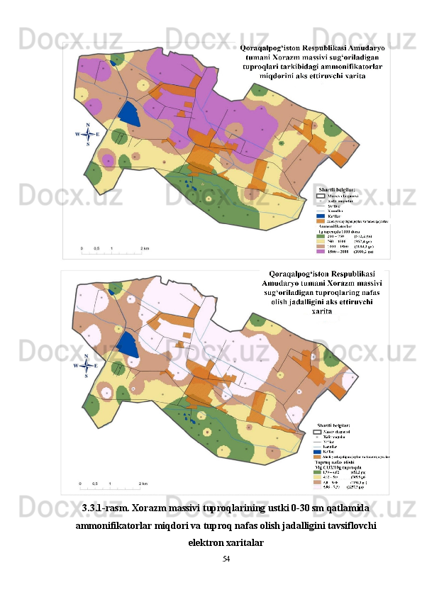 3.3.1-rasm. Xorazm massivi tuproqlarining ustki 0-30 sm qatlamida
ammonifikatorlar miqdori va tuproq nafas olish jadalligini tavsiflovchi
elektron xaritalar
54 