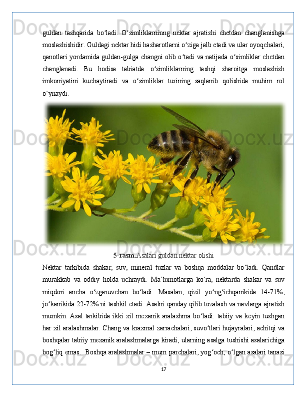 guldan   tashqarida   bo ladi.   O simliklarninng   nektar   ajratishi   chetdan   changlanishgaʻ ʻ
moslashishidir. Guldagi nektar hidi hasharotlarni o ziga jalb etadi va ular oyoqchalari,	
ʻ
qanotlari yordamida guldan-gulga changni olib o tadi va natijada o simliklar chetdan
ʻ ʻ
changlanadi.   Bu   hodisa   tabiatda   o simliklarning   tashqi   sharoitga   moslashish	
ʻ
imkoniyatini   kuchaytiradi   va   o simliklar   turining   saqlanib   qolishida   muhim   rol	
ʻ
o ynaydi.	
ʻ
5-rasm. Asalari guldan nektar olishi
Nektar   tarkibida   shakar,   suv,   mineral   tuzlar   va   boshqa   moddalar   bo ladi.   Qandlar	
ʻ
murakkab   va   oddiy   holda   uchraydi.   Ma lumotlarga   ko ra,   nektarda   shakar   va   suv	
ʼ ʻ
miqdori   ancha   o zgaruvchan   bo ladi.   Masalan,   qizil   yo ng ichqanikida   14-71%,	
ʻ ʻ ʻ ʻ
jo kanikida 22-72% ni tashkil etadi. Asalni qanday qilib tozalash va navlarga ajratish	
ʻ
mumkin. Asal  tarkibida ikki  xil  mexanik aralashma  bo ladi:  tabiiy va keyin tushgan	
ʻ
har xil aralashmalar. Chang va kraxmal zarrachalari, suvo tlari hujayralari, achitqi va	
ʻ
boshqalar tabiiy mexanik aralashmalarga kiradi, ularning asalga tushishi asalarichiga
bog liq emas.   Boshqa aralashmalar – mum parchalari, yog och, o lgan asalari tanasi	
ʻ ʻ ʻ
17 