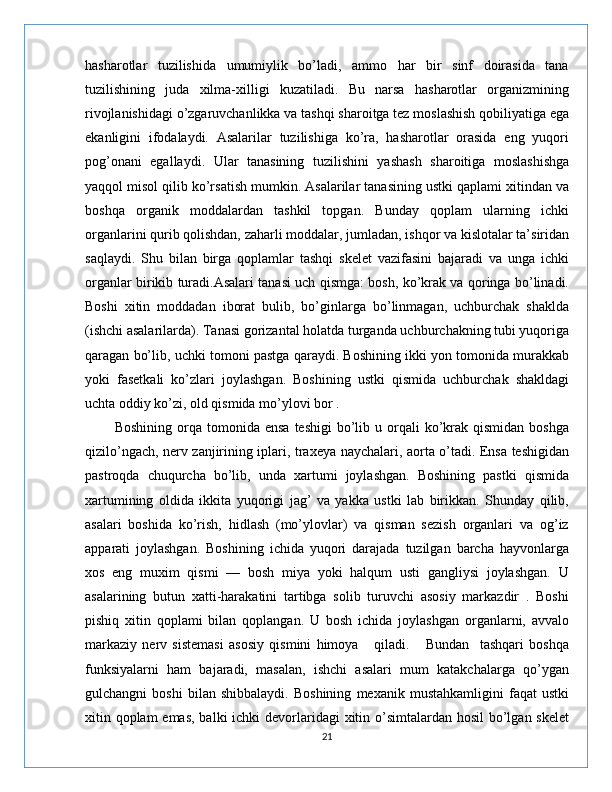 hasharotlar   tuzilishida   umumiylik   bo’ladi,   ammo   har   bir   sinf   doirasida   tana
tuzilishining   juda   xilma-xilligi   kuzatiladi.   Bu   narsa   hasharotlar   organizmining
rivojlanishidagi o’zgaruvchanlikka va tashqi sharoitga tez moslashish qobiliyatiga ega
ekanligini   ifodalaydi.   Asalarilar   tuzilishiga   ko’ra,   hasharotlar   orasida   eng   yuqori
pog’onani   egallaydi.   Ular   tanasining   tuzilishini   yashash   sharoitiga   moslashishga
yaqqol misol qilib ko’rsatish mumkin. Asalarilar tanasining ustki qaplami xitindan va
boshqa   organik   moddalardan   tashkil   topgan.   Bunday   qoplam   ularning   ichki
organlarini qurib qolishdan, zaharli moddalar, jumladan, ishqor va kislotalar ta’siridan
saqlaydi.   Shu   bilan   birga   qoplamlar   tashqi   skelet   vazifasini   bajaradi   va   unga   ichki
organlar birikib turadi.Asalari tanasi uch qismga: bosh, ko’krak va qoringa bo’linadi.
Boshi   xitin   moddadan   iborat   bulib,   bo’ginlarga   bo’linmagan,   uchburchak   shaklda
(ishchi asalarilarda). Tanasi gorizantal holatda turganda uchburchakning tubi yuqoriga
qaragan bo’lib, uchki tomoni pastga qaraydi. Boshining ikki yon tomonida murakkab
yoki   fasetkali   ko’zlari   joylashgan.   Boshining   ustki   qismida   uchburchak   shakldagi
uchta oddiy ko’zi, old qismida mo’ylovi bor .
            Boshining  orqa tomonida  ensa  teshigi   bo’lib  u orqali  ko’krak qismidan  boshga
qizilo’ngach, nerv zanjirining iplari, traxeya naychalari, aorta o’tadi. Ensa teshigidan
pastroqda   chuqurcha   bo’lib,   unda   xartumi   joylashgan.   Boshining   pastki   qismida
xartumining   oldida   ikkita   yuqorigi   jag’   va   yakka   ustki   lab   birikkan.   Shunday   qilib,
asalari   boshida   ko’rish,   hidlash   (mo’ylovlar)   va   qisman   sezish   organlari   va   og’iz
apparati   joylashgan.   Boshining   ichida   yuqori   darajada   tuzilgan   barcha   hayvonlarga
xos   eng   muxim   qismi   —   bosh   miya   yoki   halqum   usti   gangliysi   joylashgan.   U
asalarining   butun   xatti-harakatini   tartibga   solib   turuvchi   asosiy   markazdir   .   Boshi
pishiq   xitin   qoplami   bilan   qoplangan.   U   bosh   ichida   joylashgan   organlarni,   avvalo
markaziy   nerv   sistemasi   asosiy   qismini   himoya       qiladi.       Bundan     tashqari   boshqa
funksiyalarni   ham   bajaradi,   masalan,   ishchi   asalari   mum   katakchalarga   qo’ygan
gulchangni   boshi   bilan   shibbalaydi.   Boshining   mexanik   mustahkamligini   faqat   ustki
xitin qoplam  emas, balki ichki  devorlaridagi  xitin o’simtalardan hosil  bo’lgan skelet
21 
