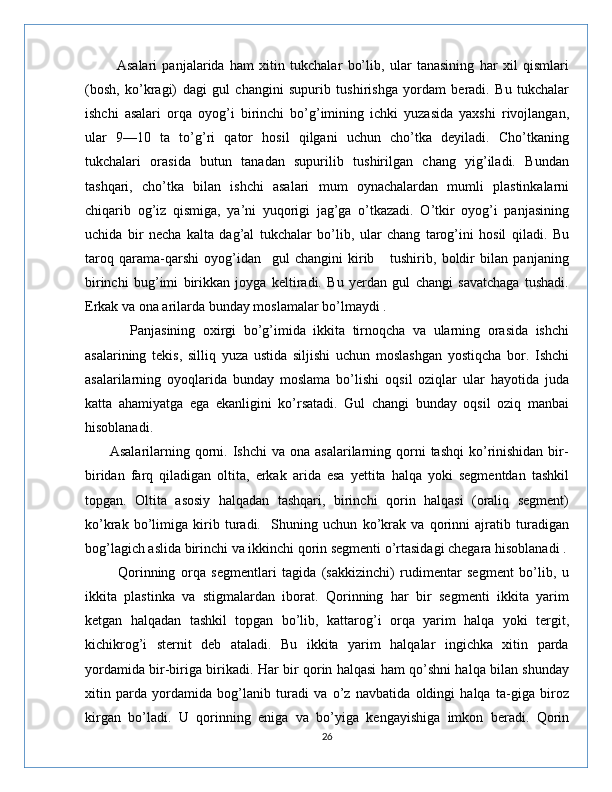             Asalari   panjalarida   ham   xitin   tukchalar   bo’lib,   ular   tanasining   har   xil   qismlari
(bosh,   ko’kragi)   dagi   gul   changini   supurib   tushirishga   yordam   beradi.   Bu   tukchalar
ishchi   asalari   orqa   oyog’i   birinchi   bo’g’imining   ichki   yuzasida   yaxshi   rivojlangan,
ular   9—10   ta   to’g’ri   qator   hosil   qilgani   uchun   cho’tka   deyiladi.   Cho’tkaning
tukchalari   orasida   butun   tanadan   supurilib   tushirilgan   chang   yig’iladi.   Bundan
tashqari,   cho’tka   bilan   ishchi   asalari   mum   oynachalardan   mumli   plastinkalarni
chiqarib   og’iz   qismiga,   ya’ni   yuqorigi   jag’ga   o’tkazadi.   O’tkir   oyog’i   panjasining
uchida   bir   necha   kalta   dag’al   tukchalar   bo’lib,   ular   chang   tarog’ini   hosil   qiladi.   Bu
taroq   qarama-qarshi   oyog’idan     gul   changini   kirib       tushirib,   boldir   bilan   panjaning
birinchi   bug’imi   birikkan   joyga   keltiradi.   Bu   yerdan   gul   changi   savatchaga   tushadi.
Erkak va ona arilarda bunday moslamalar bo’lmaydi .
            Panjasining   oxirgi   bo’g’imida   ikkita   tirnoqcha   va   ularning   orasida   ishchi
asalarining   tekis,   silliq   yuza   ustida   siljishi   uchun   moslashgan   yostiqcha   bor.   Ishchi
asalarilarning   oyoqlarida   bunday   moslama   bo’lishi   oqsil   oziqlar   ular   hayotida   juda
katta   ahamiyatga   ega   ekanligini   ko’rsatadi.   Gul   changi   bunday   oqsil   oziq   manbai
hisoblanadi.
         Asalarilarning  qorni.  Ishchi  va  ona  asalarilarning qorni  tashqi  ko’rinishidan  bir-
biridan   farq   qiladigan   oltita,   erkak   arida   esa   yettita   halqa   yoki   segmentdan   tashkil
topgan.   Oltita   asosiy   halqadan   tashqari,   birinchi   qorin   halqasi   (oraliq   segment)
ko’krak   bo’limiga   kirib   turadi.     Shuning   uchun   ko’krak   va   qorinni   ajratib   turadigan
bog’lagich aslida birinchi va ikkinchi qorin segmenti o’rtasidagi chegara hisoblanadi .
            Qorinning   orqa   segmentlari   tagida   (sakkizinchi)   rudimentar   segment   bo’lib,   u
ikkita   plastinka   va   stigmalardan   iborat.   Qorinning   har   bir   segmenti   ikkita   yarim
ketgan   halqadan   tashkil   topgan   bo’lib,   kattarog’i   orqa   yarim   halqa   yoki   tergit,
kichikrog’i   sternit   deb   ataladi.   Bu   ikkita   yarim   halqalar   ingichka   xitin   parda
yordamida bir-biriga birikadi. Har bir qorin halqasi ham qo’shni halqa bilan shunday
xitin   parda   yordamida   bog’lanib   turadi   va   o’z   navbatida   oldingi   halqa   ta-giga   biroz
kirgan   bo’ladi.   U   qorinning   eniga   va   bo’yiga   kengayishiga   imkon   beradi.   Qorin
26 
