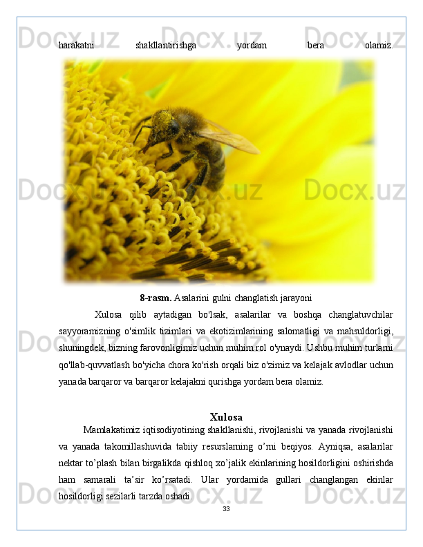 harakatni   shakllantirishga   yordam   bera   olamiz.
8-rasm.  Asalarini gulni changlatish jarayoni
          Xulosa   qilib   aytadigan   bo'lsak,   asalarilar   va   boshqa   changlatuvchilar
sayyoramizning   o'simlik   tizimlari   va   ekotizimlarining   salomatligi   va   mahsuldorligi,
shuningdek, bizning farovonligimiz uchun muhim rol o'ynaydi. Ushbu muhim turlarni
qo'llab-quvvatlash bo'yicha chora ko'rish orqali biz o'zimiz va kelajak avlodlar uchun
yanada barqaror va barqaror kelajakni qurishga yordam bera olamiz.
Xulosa
               Mamlakatimiz iqtisodiyotining shakllanishi, rivojlanishi va yanada rivojlanishi
va   yanada   takomillashuvida   tabiiy   resurslarning   o’rni   beqiyos.   Ayniqsa,   asalarilar
nektar to’plash bilan birgalikda qishloq xo’jalik ekinlarining hosildorligini oshirishda
ham   samarali   ta’sir   ko’rsatadi.   Ular   yordamida   gullari   changlangan   ekinlar
hosildorligi sezilarli tarzda oshadi.
33 