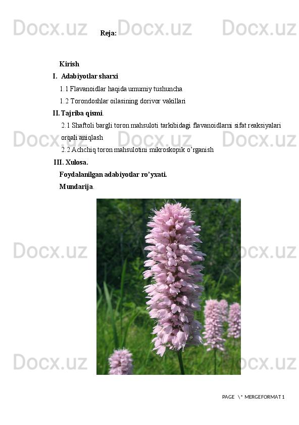                            Reja:
    Kirish
I. Adabiyotlar sharxi
     1 . 1  Flavanoidlar haqida umumiy tushuncha
    1.2 Torondoshlar oilasining dorivor vakillari
II. Tajriba qismi .
2.1 Shaftoli bargli toron mahsuloti tarkibidagi flavanoidlarni sifat reaksiyalari 
orqali aniqlash
2.2 Achchiq toron mahsulotini mikroskopik o’rganish
III. Xulosa.
    Foydalanilgan adabiyotlar ro’yxati.
    Mundarija .
 PAGE   \* MERGEFORMAT 1 