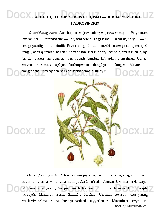 ACHCHIQ, TORON YER USTKI QISMI — HERBA POLYGONI
HYDROPIPERIS
  O’simlikning   nomi.   Achchiq   toron   (suv   qalampiri,   suvzamchi)   —   Polygonum
hydropiper L.; torondoshlar — Polygonaceae oilasiga kiradi. Bir yillik, bo’yi 20—70
sm ga yetadigan o’t o’simlik. Poyasi bo’g’inli, tik o’suvchi, tuksiz,pastki qismi qizil
rangli,   asos   qismidan   boshlab   shoxlangan.   Bargi   oddiy,   pastki   qismidagilari   qisqa
bandli,   yuqori   qismidagilari   esa   poyada   bandsiz   ketma-ket   o’rnashgan.   Gullari
mayda,   ko’rimsiz,   egilgan   boshoqsimon   shingilga   to’plangan.   Mevasi   —
yong’oqcha. May oyidan boshlab sentyabrgacha gullaydi.
Geografik tarqalishi.   Botqoqlashgan joylarda, nam o’tloqlarda, ariq, kul, xovuz,
zovur   bo’ylarida   va   boshqa   nam   joylarda   o’sadi.   Asosan   Ukraina,   Belarusiya,
Moldova, Rossiyaning Ovrupo qismida, Kavkaz, Sibir, o’rta Osiyo va Uzoq Sharqda
uchraydi.   Maxsulot   asosan   Shimoliy   Kavkaz,   Ukraina,   Belarus,   Rossiyaning
markaziy   viloyatlari   va   boshqa   yerlarda   tayyorlanadi.   Maxsulotni   tayyorlash.
 PAGE   \* MERGEFORMAT 1 