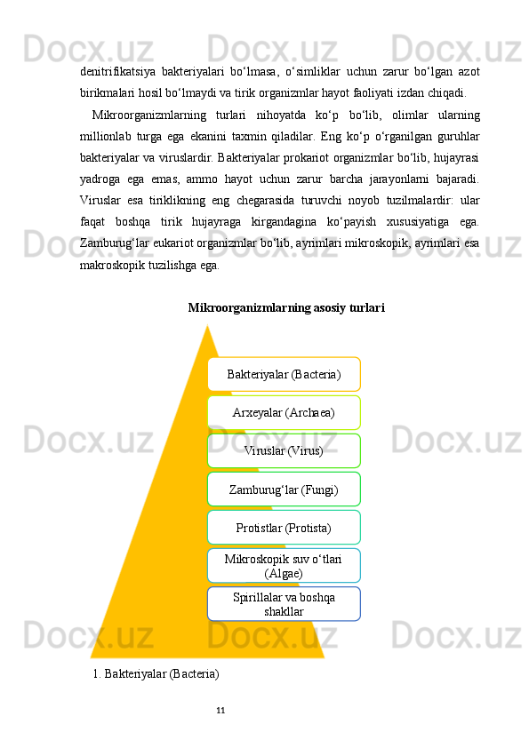 11denitrifikatsiya   bakteriyalari   bo‘lmasa,   o‘simliklar   uchun   zarur   bo‘lgan   azot
birikmalari hosil bo‘lmaydi va tirik organizmlar hayot faoliyati izdan chiqadi.
Mikroorganizmlarning   turlari   nihoyatda   ko‘p   bo‘lib,   olimlar   ularning
millionlab   turga   ega   ekanini   taxmin   qiladilar.   Eng   ko‘p   o‘rganilgan   guruhlar
bakteriyalar va viruslardir. Bakteriyalar prokariot organizmlar bo‘lib, hujayrasi
yadroga   ega   emas,   ammo   hayot   uchun   zarur   barcha   jarayonlarni   bajaradi.
Viruslar   esa   tiriklikning   eng   chegarasida   turuvchi   noyob   tuzilmalardir:   ular
faqat   boshqa   tirik   hujayraga   kirgandagina   ko‘payish   xususiyatiga   ega.
Zamburug‘lar eukariot organizmlar bo‘lib, ayrimlari mikroskopik, ayrimlari esa
makroskopik tuzilishga ega.
Mikroorganizmlarning asosiy turlari
1. Bakteriyalar (Bacteria) Bakteriyalar (Bacteria)
Arxeyalar (Archaea)
Viruslar (Virus)
Zamburug‘lar (Fungi)
Protistlar (Protista)
Mikroskopik suv o‘tlari 
(Algae)
Spirillalar va boshqa 
shakllar 