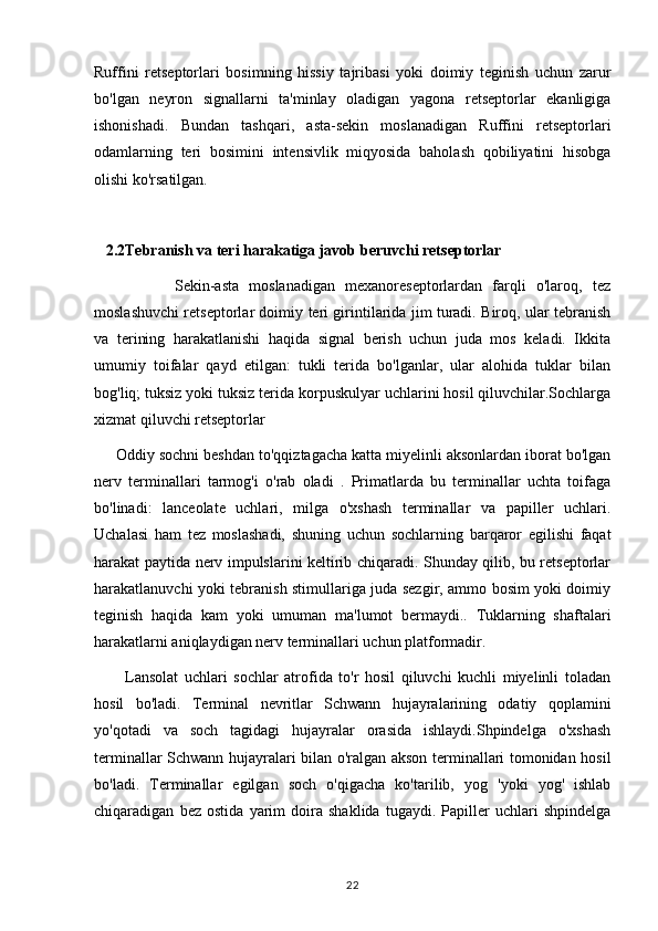 Ruffini   retseptorlari   bosimning   hissiy   tajribasi   yoki   doimiy   teginish   uchun   zarur
bo'lgan   neyron   signallarni   ta'minlay   oladigan   yagona   retseptorlar   ekanligiga
ishonishadi.   Bundan   tashqari,   asta-sekin   moslanadigan   Ruffini   retseptorlari
odamlarning   teri   bosimini   intensivlik   miqyosida   baholash   qobiliyatini   hisobga
olishi ko'rsatilgan.
   2.2Tebranish va teri harakatiga javob beruvchi retseptorlar
                Sekin-asta   moslanadigan   mexanoreseptorlardan   farqli   o'laroq,   tez
moslashuvchi retseptorlar doimiy teri girintilarida jim turadi. Biroq, ular tebranish
va   terining   harakatlanishi   haqida   signal   berish   uchun   juda   mos   keladi.   Ikkita
umumiy   toifalar   qayd   etilgan:   tukli   terida   bo'lganlar,   ular   alohida   tuklar   bilan
bog'liq; tuksiz yoki tuksiz terida korpuskulyar uchlarini hosil qiluvchilar.Sochlarga
xizmat qiluvchi retseptorlar
     Oddiy sochni beshdan to'qqiztagacha katta miyelinli aksonlardan iborat bo'lgan
nerv   terminallari   tarmog'i   o'rab   oladi   .   Primatlarda   bu   terminallar   uchta   toifaga
bo'linadi:   lanceolate   uchlari,   milga   o'xshash   terminallar   va   papiller   uchlari.
Uchalasi   ham   tez   moslashadi,   shuning   uchun   sochlarning   barqaror   egilishi   faqat
harakat paytida nerv impulslarini keltirib chiqaradi. Shunday qilib, bu retseptorlar
harakatlanuvchi yoki tebranish stimullariga juda sezgir, ammo bosim yoki doimiy
teginish   haqida   kam   yoki   umuman   ma'lumot   bermaydi..   Tuklarning   shaftalari
harakatlarni aniqlaydigan nerv terminallari uchun platformadir.
          Lansolat   uchlari   sochlar   atrofida   to'r   hosil   qiluvchi   kuchli   miyelinli   toladan
hosil   bo'ladi.   Terminal   nevritlar   Schwann   hujayralarining   odatiy   qoplamini
yo'qotadi   va   soch   tagidagi   hujayralar   orasida   ishlaydi.Shpindelga   o'xshash
terminallar Schwann hujayralari bilan o'ralgan akson terminallari tomonidan hosil
bo'ladi.   Terminallar   egilgan   soch   o'qigacha   ko'tarilib,   yog   'yoki   yog'   ishlab
chiqaradigan   bez   ostida   yarim   doira   shaklida   tugaydi.   Papiller   uchlari   shpindelga
22 