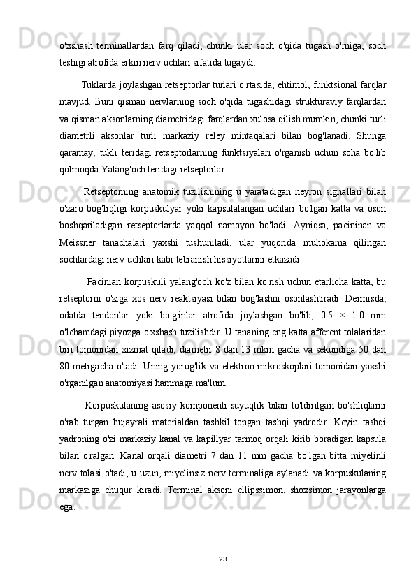 o'xshash   terminallardan   farq   qiladi,   chunki   ular   soch   o'qida   tugash   o'rniga,   soch
teshigi atrofida erkin nerv uchlari sifatida tugaydi.
             Tuklarda joylashgan retseptorlar turlari o'rtasida, ehtimol, funktsional farqlar
mavjud.   Buni   qisman   nervlarning   soch   o'qida   tugashidagi   strukturaviy   farqlardan
va qisman aksonlarning diametridagi farqlardan xulosa qilish mumkin, chunki turli
diametrli   aksonlar   turli   markaziy   reley   mintaqalari   bilan   bog'lanadi.   Shunga
qaramay,   tukli   teridagi   retseptorlarning   funktsiyalari   o'rganish   uchun   soha   bo'lib
qolmoqda.Yalang'och teridagi retseptorlar
            Retseptorning   anatomik   tuzilishining   u   yaratadigan   neyron   signallari   bilan
o'zaro   bog'liqligi   korpuskulyar   yoki   kapsulalangan   uchlari   bo'lgan   katta   va   oson
boshqariladigan   retseptorlarda   yaqqol   namoyon   bo'ladi.   Ayniqsa,   pacininan   va
Meissner   tanachalari   yaxshi   tushuniladi,   ular   yuqorida   muhokama   qilingan
sochlardagi nerv uchlari kabi tebranish hissiyotlarini etkazadi.
                Pacinian korpuskuli   yalang'och  ko'z  bilan ko'rish  uchun  etarlicha katta,  bu
retseptorni   o'ziga   xos   nerv   reaktsiyasi   bilan   bog'lashni   osonlashtiradi.   Dermisda,
odatda   tendonlar   yoki   bo'g'inlar   atrofida   joylashgan   bo'lib,   0.5   ×   1.0   mm
o'lchamdagi piyozga o'xshash tuzilishdir. U tananing eng katta afferent tolalaridan
biri tomonidan xizmat qiladi, diametri 8 dan 13 mkm gacha va sekundiga 50 dan
80 metrgacha o'tadi. Uning yorug'lik va elektron mikroskoplari tomonidan yaxshi
o'rganilgan anatomiyasi hammaga ma'lum.
              Korpuskulaning   asosiy   komponenti   suyuqlik   bilan   to'ldirilgan   bo'shliqlarni
o'rab   turgan   hujayrali   materialdan   tashkil   topgan   tashqi   yadrodir.   Keyin   tashqi
yadroning o'zi  markaziy kanal  va kapillyar  tarmoq orqali  kirib boradigan kapsula
bilan   o'ralgan.   Kanal   orqali   diametri   7   dan   11   mm   gacha   bo'lgan   bitta   miyelinli
nerv tolasi o'tadi, u uzun, miyelinsiz nerv terminaliga aylanadi va korpuskulaning
markaziga   chuqur   kiradi.   Terminal   aksoni   ellipssimon,   shoxsimon   jarayonlarga
ega.
23 