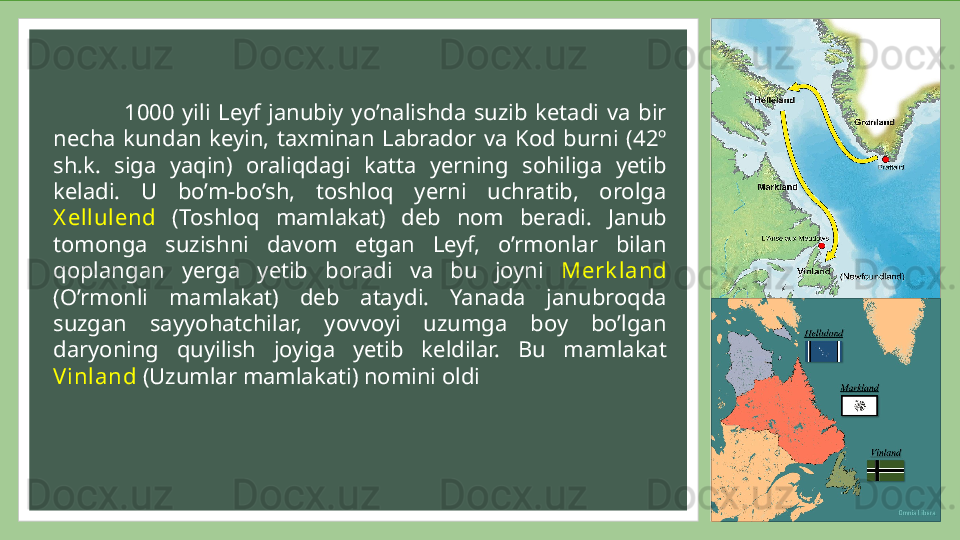 1000  yili  Leyf  janubiy  yo’nalishda  suzib  ketadi  va  bir 
necha  kundan  keyin,  taxminan  Labrador  va  Kod  burni  (42º 
sh.k.  siga  yaqin)  oraliqdagi  katta  yerning  sohiliga  yetib 
keladi.  U  bo’m-bo’sh,  toshloq  yerni  uchratib,  orolga 
X ellulend   (Toshloq  mamlakat)  deb  nom  beradi.  Janub 
tomonga  suzishni  davom  etgan  Leyf,  o’rmonlar  bilan 
qoplangan  yerga  yetib  boradi  va  bu  joyni  Merk land  
(O’rmonli  mamlakat)  deb  ataydi.  Yanada  janubroqda 
suzgan  sayyohatchilar,  yovvoyi  uzumga  boy  bo’lgan 
daryoning  quyilish  joyiga  yetib  keldilar.  Bu  mamlakat 
Vinland  (Uzumlar mamlakati) nomini oldi