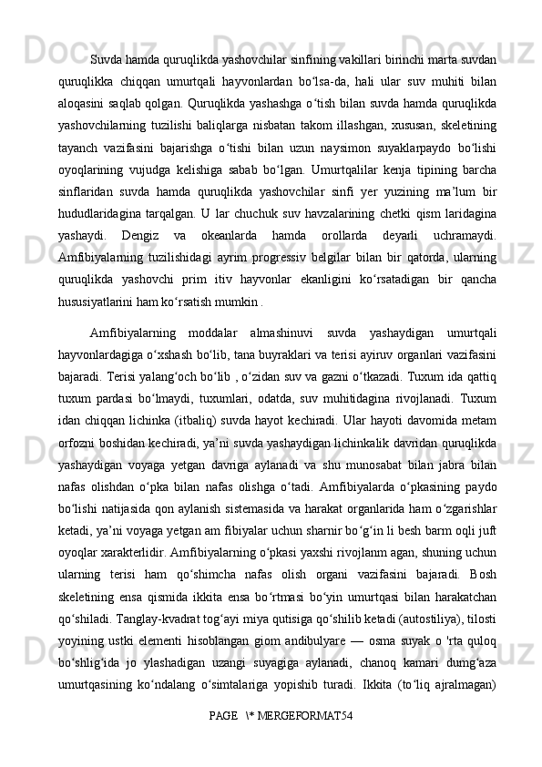 Suvda hamda quruqlikda yashovchilar sinfining vakillari birinchi marta suvdan
quruqlikka   chiqqan   umurtqali   hayvonlardan   bo lsa-da,   hali   ular   suv   muhiti   bilanʻ
aloqasini saqlab qolgan.   Quruqlikda yashashga o tish bilan suvda hamda quruqlikda
ʻ
yashovchilarning   tuzilishi   baliqlarga   nisbatan   takom   illashgan,   xususan,   skeletining
tayanch   vazifasini   bajarishga   o tishi   bilan   uzun   naysimon   suyaklarpaydo   bo lishi	
ʻ ʻ
oyoqlarining   vujudga   kelishiga   sabab   bo lgan.	
ʻ   Umurtqalilar   kenja   tipining   barcha
sinflaridan   suvda   hamda   quruqlikda   yashovchilar   sinfi   yer   yuzining   ma’lum   bir
hududlaridagina   tarqalgan.   U   lar   chuchuk   suv   havzalarining   chetki   qism   laridagina
yashaydi.   Dengiz   va   okeanlarda   hamda   orollarda   deyarli   uchramaydi.
Amfibiyalarning   tuzilishidagi   ayrim   progressiv   belgilar   bilan   bir   qatorda,   ularning
quruqlikda   yashovchi   prim   itiv   hayvonlar   ekanligini   ko rsatadigan   bir   qancha	
ʻ
hususiyatlarini ham ko rsatish mumkin .	
ʻ
Amfibiyalarning   moddalar   almashinuvi   suvda   yashaydigan   umurtqali
hayvonlardagiga o xshash bo lib, tana buyraklari va terisi ayiruv organlari vazifasini	
ʻ ʻ
bajaradi. Terisi yalang och bo lib , o zidan suv va gazni o tkazadi. Tuxum ida qattiq	
ʻ ʻ ʻ ʻ
tuxum   pardasi   bo lmaydi,   tuxumlari,   odatda,   suv   muhitidagina   rivojlanadi.   Tuxum	
ʻ
idan  chiqqan   lichinka   (itbaliq)   suvda   hayot   kechiradi.  Ular   hayoti   davomida   metam
orfozni boshidan kechiradi, ya’ni suvda yashaydigan lichinkalik davridan quruqlikda
yashaydigan   voyaga   yetgan   davriga   aylanadi   va   shu   munosabat   bilan   jabra   bilan
nafas   olishdan   o pka   bilan   nafas   olishga   o tadi.
ʻ ʻ   Amfibiyalarda   o pkasining   paydo	ʻ
bo lishi  natijasida qon aylanish  sistemasida  va harakat  organlarida ham  o zgarishlar	
ʻ ʻ
ketadi, ya’ni voyaga yetgan am fibiyalar uchun sharnir bo g in li besh barm oqli juft	
ʻ ʻ
oyoqlar xarakterlidir. Amfibiyalarning o pkasi yaxshi rivojlanm agan, shuning uchun	
ʻ
ularning   terisi   ham   qo shimcha   nafas   olish   organi   vazifasini   bajaradi.   Bosh	
ʻ
skeletining   ensa   qismida   ikkita   ensa   bo rtmasi   bo yin   umurtqasi   bilan   harakatchan	
ʻ ʻ
qo shiladi. Tanglay-kvadrat tog ayi miya qutisiga qo shilib ketadi (autostiliya), tilosti	
ʻ ʻ ʻ
yoyining   ustki   elementi   hisoblangan   giom   andibulyare   —   osma   suyak   o   'rta   quloq
bo shlig ida   jo   ylashadigan   uzangi   suyagiga   aylanadi,   chanoq   kamari   dumg aza
ʻ ʻ ʻ
umurtqasining   ko ndalang   o simtalariga   yopishib   turadi.   Ikkita   (to liq   ajralmagan)	
ʻ ʻ ʻ
PAGE   \* MERGEFORMAT54 