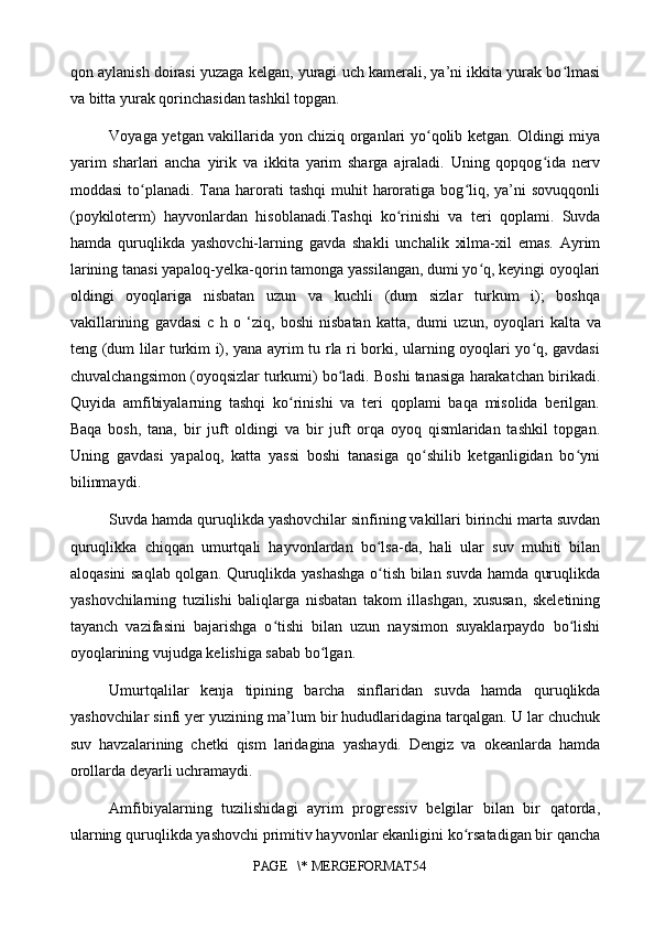 qon aylanish doirasi yuzaga kelgan, yuragi uch kamerali, ya’ni ikkita yurak bo lmasiʻ
va bitta yurak qorinchasidan tashkil topgan.
Voyaga yetgan vakillarida yon chiziq organlari yo qolib ketgan. Oldingi miya	
ʻ
yarim   sharlari   ancha   yirik   va   ikkita   yarim   sharga   ajraladi.   Uning   qopqog ida   nerv	
ʻ
moddasi   to planadi.  Tana harorati  tashqi  muhit  haroratiga bog liq, ya’ni  sovuqqonli	
ʻ ʻ
(poykiloterm )   hayvonlardan   hisoblanadi.Tashqi   ko rinishi   va   teri   qoplami.   Suvda	
ʻ
hamda   quruqlikda   yashovchi-larning   gavda   shakli   unchalik   xilma-xil   emas.   Ayrim
larining tanasi yapaloq-yelka-qorin tamonga yassilangan, dumi yo q, keyingi oyoqlari	
ʻ
oldingi   oyoqlariga   nisbatan   uzun   va   kuchli   (dum   sizlar   turkum   i);   boshqa
vakillarining   gavdasi   c   h   o   ‘ziq,   boshi   nisbatan   katta,   dum i   uzun,   oyoqlari   kalta   va
teng (dum lilar turkim i), yana ayrim tu rla ri borki, ularning oyoqlari yo q, gavdasi	
ʻ
chuvalchangsimon (oyoqsizlar turkumi) bo ladi. Boshi tanasiga harakatchan birikadi.	
ʻ
Quyida   amfibiyalarning   tashqi   ko rinishi   va   teri   qoplami   baqa   misolida   berilgan.	
ʻ
Baqa   bosh,   tana,   bir   juft   oldingi   va   bir   juft   orqa   oyoq   qismlaridan   tashkil   topgan.
Uning   gavdasi   yapaloq,   katta   yassi   boshi   tanasiga   qo shilib   ketganligidan   bo yni	
ʻ ʻ
bilinmaydi . 
Suvda hamda quruqlikda yashovchilar sinfining vakillari birinchi marta suvdan
quruqlikka   chiqqan   umurtqali   hayvonlardan   bo lsa-da,   hali   ular   suv   muhiti   bilan	
ʻ
aloqasini saqlab qolgan. Quruqlikda yashashga o tish bilan suvda hamda quruqlikda
ʻ
yashovchilarning   tuzilishi   baliqlarga   nisbatan   takom   illashgan,   xususan,   skeletining
tayanch   vazifasini   bajarishga   o tishi   bilan   uzun   naysimon   suyaklarpaydo   bo lishi	
ʻ ʻ
oyoqlarining vujudga kelishiga sabab bo lgan.	
ʻ
Umurtqalilar   kenja   tipining   barcha   sinflaridan   suvda   hamda   quruqlikda
yashovchilar sinfi yer yuzining ma’lum bir hududlaridagina tarqalgan. U lar chuchuk
suv   havzalarining   chetki   qism   laridagina   yashaydi.   Dengiz   va   okeanlarda   hamda
orollarda deyarli uchramaydi.
Amfibiyalarning   tuzilishidagi   ayrim   progressiv   belgilar   bilan   bir   qatorda,
ularning quruqlikda yashovchi primitiv hayvonlar ekanligini ko rsatadigan bir qancha	
ʻ
PAGE   \* MERGEFORMAT54 