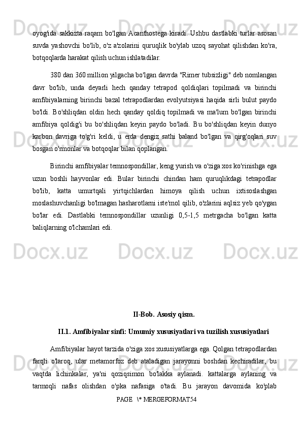 oyog'ida   sakkizta   raqam   bo'lgan   Acanthostega   kiradi.   Ushbu   dastlabki   turlar   asosan
suvda  yashovchi  bo'lib,  o'z   a'zolarini   quruqlik  bo'ylab   uzoq  sayohat  qilishdan   ko'ra,
botqoqlarda harakat qilish uchun ishlatadilar.
380 dan 360 million yilgacha bo'lgan davrda "Rimer tubsizligi" deb nomlangan
davr   bo'lib,   unda   deyarli   hech   qanday   tetrapod   qoldiqlari   topilmadi   va   birinchi
amfibiyalarning   birinchi   bazal   tetrapodlardan   evolyutsiyasi   haqida   sirli   bulut   paydo
bo'ldi.   Bo'shliqdan   oldin   hech   qanday   qoldiq   topilmadi   va   ma'lum   bo'lgan   birinchi
amfibiya   qoldig'i   bu   bo'shliqdan   keyin   paydo   bo'ladi.   Bu   bo'shliqdan   keyin   dunyo
karbon   davriga   to'g'ri   keldi,   u   erda   dengiz   sathi   baland   bo'lgan   va   qirg'oqlari   suv
bosgan o'rmonlar va botqoqlar bilan qoplangan.
Birinchi amfibiyalar temnospondillar, keng yurish va o'ziga xos ko'rinishga ega
uzun   boshli   hayvonlar   edi.   Bular   birinchi   chindan   ham   quruqlikdagi   tetrapodlar
bo'lib,   katta   umurtqali   yirtqichlardan   himoya   qilish   uchun   ixtisoslashgan
moslashuvchanligi bo'lmagan hasharotlarni iste'mol qilib, o'zlarini aqlsiz yeb qo'ygan
bo'lar   edi.   Dastlabki   temnospondillar   uzunligi   0,5-1,5   metrgacha   bo'lgan   katta
baliqlarning o'lchamlari edi.
II-Bob. Asosiy qism.
II .1. Amfibiyalar sinfi: Umumiy xususiyatlari va tuzilish xususiyatlari
Amfibiyalar hayot tarzida o'ziga xos xususiyatlarga ega. Qolgan tetrapodlardan
farqli   o'laroq,   ular   metamorfoz   deb   ataladigan   jarayonni   boshdan   kechiradilar,   bu
vaqtda   lichinkalar,   ya'ni   qoziqsimon   bo'lakka   aylanadi.   kattalarga   aylaning   va
tarmoqli   nafas   olishdan   o'pka   nafasiga   o'tadi.   Bu   jarayon   davomida   ko'plab
PAGE   \* MERGEFORMAT54 