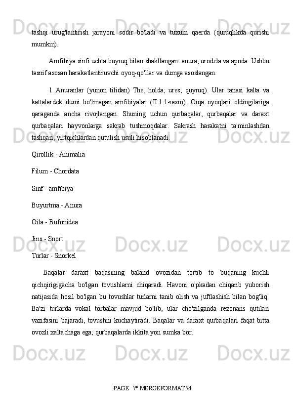 tashqi   urug'lantirish   jarayoni   sodir   bo'ladi   va   tuxum   qaerda   (quruqlikda   qurishi
mumkin).
Amfibiya sinfi uchta buyruq bilan shakllangan: anura, urodela va apoda. Ushbu
tasnif asosan harakatlantiruvchi oyoq-qo'llar va dumga asoslangan.
1.  Anuranlar   (yunon   tilidan)   The,   holda;   ures,   quyruq).   Ular   tanasi   kalta   va
kattalardek   dumi   bo'lmagan   amfibiyalar   (II.1.1-rasm).   Orqa   oyoqlari   oldingilariga
qaraganda   ancha   rivojlangan.   Shuning   uchun   qurbaqalar,   qurbaqalar   va   daraxt
qurbaqalari   hayvonlarga   sakrab   tushmoqdalar.   Sakrash   harakatni   ta'minlashdan
tashqari, yirtqichlardan qutulish usuli hisoblanadi.
Qirollik - Animalia
Filum - Chordata
Sinf - amfibiya
Buyurtma - Anura
Oila - Bufonidea
Jins - Snort
Turlar - Snorkel
Baqalar   daraxt   baqasining   baland   ovozidan   tortib   to   buqaning   kuchli
qichqirigigacha   bo'lgan   tovushlarni   chiqaradi.   Havoni   o'pkadan   chiqarib   yuborish
natijasida   hosil   bo'lgan   bu   tovushlar   turlarni   tanib   olish   va   juftlashish   bilan   bog'liq.
Ba'zi   turlarda   vokal   torbalar   mavjud   bo'lib,   ular   cho'zilganda   rezonans   qutilari
vazifasini   bajaradi,   tovushni   kuchaytiradi.   Baqalar   va   daraxt   qurbaqalari   faqat   bitta
ovozli xaltachaga ega; qurbaqalarda ikkita yon sumka bor.
PAGE   \* MERGEFORMAT54 