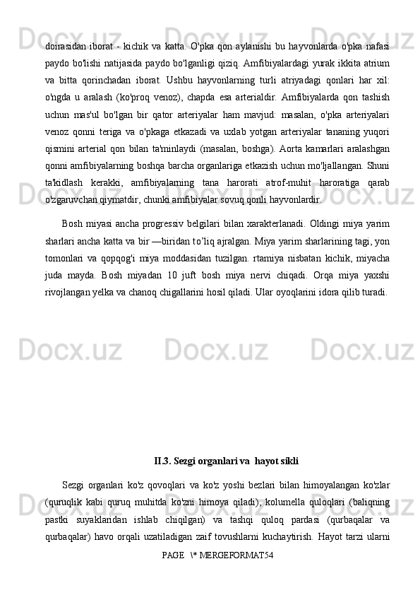 doirasidan   iborat   -   kichik   va   katta.   O'pka   qon   aylanishi   bu   hayvonlarda   o'pka   nafasi
paydo bo'lishi natijasida paydo bo'lganligi qiziq. Amfibiyalardagi yurak ikkita atrium
va   bitta   qorinchadan   iborat.   Ushbu   hayvonlarning   turli   atriyadagi   qonlari   har   xil:
o'ngda   u   aralash   (ko'proq   venoz),   chapda   esa   arterialdir.   Amfibiyalarda   qon   tashish
uchun   mas'ul   bo'lgan   bir   qator   arteriyalar   ham   mavjud:   masalan,   o'pka   arteriyalari
venoz   qonni   teriga   va   o'pkaga   etkazadi   va   uxlab   yotgan   arteriyalar   tananing   yuqori
qismini   arterial   qon   bilan   ta'minlaydi   (masalan,   boshga).   Aorta   kamarlari   aralashgan
qonni amfibiyalarning boshqa barcha organlariga etkazish uchun mo'ljallangan. Shuni
ta'kidlash   kerakki,   amfibiyalarning   tana   harorati   atrof-muhit   haroratiga   qarab
o'zgaruvchan qiymatdir, chunki amfibiyalar sovuq qonli hayvonlardir.
Bosh   miyasi   ancha   progressiv   belgilari   bilan   xarakterlanadi.   Oldingi   miya   yarim
sharlari ancha katta va bir —biridan t o’ liq ajralgan. Miya yarim sharlarining tagi, yon
tomonlari   va   qopqog'i   miya   moddasidan   tuzilgan.   rtamiya   nisbatan   kichik,   miyacha
juda   mayda.   Bosh   miyadan   10   juft   bosh   miya   nervi   chiqadi.   Orqa   miya   yaxshi
rivojlangan yelka va chanoq chigallarini hosil qiladi. Ular oyoqlarini idora qilib turadi.
II.3.   Sezgi organlari va  hayot sikli
S ezgi   organlari   ko'z   qovoqlari   va   ko'z   yoshi   bezlari   bilan   himoyalangan   ko'zlar
(quruqlik   kabi   quruq   muhitda   ko'zni   himoya   qiladi),   kolumella   quloqlari   (baliqning
pastki   suyaklaridan   ishlab   chiqilgan)   va   tashqi   quloq   pardasi   (qurbaqalar   va
qurbaqalar)   havo   orqali   uzatiladigan   zaif   tovushlarni   kuchaytirish.   Hayot   tarzi   ularni
PAGE   \* MERGEFORMAT54 
