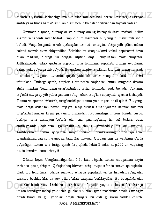 hidlash   tuyg'usini   ishlatishga   majbur   qiladigan   seziliyaliklardan   tashqari,   aksariyat
amfibiyalar tunda ham o'ljasini aniqlash uchun ko'rish qobiliyatidan foydalanadilar.
Umuman   olganda,   qurbaqalar   va   qurbaqalarning   ko'payish   davri   mo''tadil   iqlim
sharoitida bahorda sodir bo'ladi. Tropik iqlim sharoitida bu yomg'irli mavsumda sodir
bo'ladi.   Vaqti   kelganda   erkak   qurbaqalar   turmush   o'rtog'ini   o'ziga   jalb   qilish   uchun
baland   ovozda   ovoz   chiqaradilar.   Erkaklar   bu   chaqiruvlarni   vokal   qopchasini   havo
bilan   to'ldirib,   oldinga   va   orqaga   siljitish   orqali   chiyillagan   ovoz   chiqaradi.
Juftlashganda,   erkak   qurbaqa   urg'ochi   orqa   tomoniga   yopishib,   oldingi   oyoqlarini
beliga yoki bo'yniga ilib qo'yadi. Bu quchoq amplexus sifatida tanilgan: uning maqsadi
-   erkakning   urg'ochi   tuxumini   qo'yib   yuborish   uchun   maqbul   holatda   bo'lishini
ta'minlash.   Turlarga   qarab,   amplexus   bir   necha   daqiqadan   butun   kungacha   davom
etishi   mumkin.   Tuxumning   urug'lantirilishi   tashqi   tomondan   sodir   bo'ladi.     Tuxumni
urg'ochi suvga qo'yib yuborganidan so'ng, erkak urug'lanish paytida sperma tashlaydi.
Tuxum va sperma birlashib, urug'lantirilgan tuxum yoki zigota hosil qiladi. Bu yangi
mavjudotga   aylangan   noyob   hujayra.   Ko'p   turdagi   amfibiyalarda   kattalar   tuxumni
urug'lantirilgandan   keyin   parvarish   qilmasdan   rivojlanishiga   imkon   beradi.   Biroq,
boshqa   turlar   namoyon   bo'ladi   ota   -ona   qaramog'ining   har   xil   turlari.   Ba'zi
amfibiyalarda   bolalarga   g'amxo'rlik   qilishning   g'ayrioddiy   usullari   mavjud.
Amfibiyako'p   tuxum   qo'yishga   moyil   chunki   lichinkalarning   omon   qolishini
qiyinlashtiradigan   son   -sanoqsiz   tahdidlar   mavjud.   Qurbaqaning   bir   vaqtning   o'zida
qo'yadigan   tuxum   soni   turiga   qarab   farq   qiladi,   lekin   2   tadan   ko'p.000   bir   vaqtning
o'zida kamdan -kam uchraydi. 
Odatda   keyin   Urug'lantirilgandan   6-21   kun   o'tgach,   tuxum   chiqqandan   keyin
kichkina   qoziq   chiqadi.   Qo'rqinchoq   birinchi   oziq   -ovqat   sifatida   tuxum   qoldiqlarini
oladi.   Bu   lichinkalar   odatda   suzuvchi   o'tlarga   yopishadi   va   bir   haftadan   so'ng   ular
suzishni   boshlaydilar   va   suv   o'tlari   bilan   oziqlana   boshlaydilar.   Bu   bosqichda   ular
o'txo'rlar   hisoblanadi.   Lichinka   bosqichida   amfibiyalar   paydo   bo'ladi   nafas   olishiga
imkon beradigan tashqi yoki ichki gillalar suv bilan gaz almashinuvi orqali. Suv og'iz
orqali   kiradi   va   gill   yoriqlari   orqali   chiqadi,   bu   erda   gillalarni   tashkil   etuvchi
PAGE   \* MERGEFORMAT54 