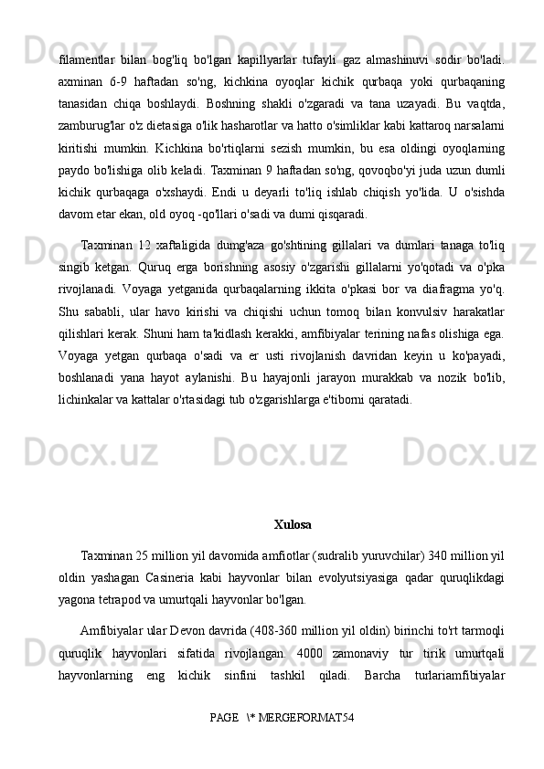 filamentlar   bilan   bog'liq   bo'lgan   kapillyarlar   tufayli   gaz   almashinuvi   sodir   bo'ladi.
axminan   6-9   haftadan   so'ng,   kichkina   oyoqlar   kichik   qurbaqa   yoki   qurbaqaning
tanasidan   chiqa   boshlaydi.   Boshning   shakli   o'zgaradi   va   tana   uzayadi.   Bu   vaqtda,
zamburug'lar o'z dietasiga o'lik hasharotlar va hatto o'simliklar kabi kattaroq narsalarni
kiritishi   mumkin.   Kichkina   bo'rtiqlarni   sezish   mumkin,   bu   esa   oldingi   oyoqlarning
paydo bo'lishiga olib keladi. Taxminan 9 haftadan so'ng, qovoqbo'yi juda uzun dumli
kichik   qurbaqaga   o'xshaydi.   Endi   u   deyarli   to'liq   ishlab   chiqish   yo'lida.   U   o'sishda
davom etar ekan, old oyoq -qo'llari o'sadi va dumi qisqaradi. 
Taxminan   12   xaftaligida   dumg'aza   go'shtining   gillalari   va   dumlari   tanaga   to'liq
singib   ketgan.   Quruq   erga   borishning   asosiy   o'zgarishi   gillalarni   yo'qotadi   va   o'pka
rivojlanadi.   Voyaga   yetganida   qurbaqalarning   ikkita   o'pkasi   bor   va   diafragma   yo'q.
Shu   sababli,   ular   havo   kirishi   va   chiqishi   uchun   tomoq   bilan   konvulsiv   harakatlar
qilishlari kerak. Shuni ham ta'kidlash kerakki, amfibiyalar terining nafas olishiga ega.
Voyaga   yetgan   qurbaqa   o'sadi   va   er   usti   rivojlanish   davridan   keyin   u   ko'payadi,
boshlanadi   yana   hayot   aylanishi.   Bu   hayajonli   jarayon   murakkab   va   nozik   bo'lib,
lichinkalar va kattalar o'rtasidagi tub o'zgarishlarga e'tiborni qaratadi.
Xulosa
Taxminan 25 million yil davomida amfiotlar (sudralib yuruvchilar) 340 million yil
oldin   yashagan   Casineria   kabi   hayvonlar   bilan   evolyutsiyasiga   qadar   quruqlikdagi
yagona tetrapod va umurtqali hayvonlar bo'lgan. 
Amfibiyalar ular Devon davrida (408-360 million yil oldin) birinchi to'rt tarmoqli
quruqlik   hayvonlari   sifatida   rivojlangan.   4000   zamonaviy   tur   tirik   umurtqali
hayvonlarning   eng   kichik   sinfini   tashkil   qiladi.   Barcha   turlariamfibiyalar
PAGE   \* MERGEFORMAT54 