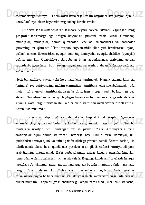 metamorfozga   uchraydi   -   lichinkadan   kattalarga   keskin   o'zgarishi.   Bu   jarayon   ajralib
turadiAmfibiya klassi hayvonlarning boshqa barcha sinflari. 
Amfibiya   klassiAntarktidadan   tashqari   deyarli   barcha   qit'alarni   egallagan   keng
geografik   taqsimotga   ega   bo'lgan   hayvonlar   guruhini   tashkil   etadi.   Ommabop
qurbaqalar,   qurbaqalar,   daraxt   qurbaqalari,   cecilias,   salamanders   va   boshqalar
guruhning   bir   qismidir.   Ular   tetrapod   hayvonlaridir   (ikki   juft   harakatchan   oyoq-
qo'llar),   ammo,   ikkinchidan,   oyoqlar   sonining   kamayishi,   oyoqsiz   shakllari   (oyoqsiz)
bo'lishi   mumkin.   Osteichthyes   ota-bobolari   bilan   taqqoslaganda,   skeletning   qolgan
qismida   bo'lgani   kabi,   bosh   suyagi   suyaklarining   sezilarli   darajada   kamayganligini
ko'rsatmoqda. 
Hech   bir   amfibiya   suvsiz   yoki   ko'p   namliksiz   tug'ilmaydi.   Namlik   sizning   tanangiz
(teringiz)   evolyutsiyasining   muhim   elementidir.   Amfibiya   terisi   metabolizmada   juda
muhim   rol   o'ynaydi.   Amfibiyalarda   nafas   olish   ham   u   orqali   sodir   bo'ladi,   teri   deb
ataladi.   Gaz   almashinuvi   uni   qoplaydigan   hujayralar   tomonidan   amalga   oshiriladi   va
suvning   mavjudligi   suvsizlanishni   oldini   olish   va   ushbu   mexanizmni   osonlashtirish
uchun juda muhimdir. 
Boshsuyagi   umurtqa   pog'onasi   bilan   ikkita   oksipital   kondil   orqali   bo'g'imlarga
aylanadi.   Quyruq   mavjud   bo'lishi   yoki   bo'lmasligi   mumkin,   agar   u   yo'q   bo'lsa,   bu
mintaqada   urostyle   deb   nomlangan   tuzilish   paydo   bo'ladi.   Amfibiyaning   terisi
amfibiyalar   oqim   shilliq   va   zaharli   bezlarga   boy.   Shilliq   terini   namlaydi,   uni
quritishdan himoya qiladi va terining nafas olishiga yordam beradi. Zaharli bezlar juda
toksik   alkaloidlarni   hosil   qiladi,   ular   yurakka   ta'sir   qiladi,   nafasni   kamaytiradi   yoki
asab   tizimiga   hujum   qiladi.   Ba'zi   qurbaqalarning   zahari   Janubiy   Amerika   hindulari
tomonidan o'qlarini zaharlash uchun ishlatiladi. Bugungi kunda amfibiyalarda haqiqiy
tarozilar yo'q, ularning terilari eng xil ranglarga ega bo'lishi mumkin, ba'zilari esa hatto
rangini   o'zgartirishi   mumkin.   O'rtasida   amfibiyalarshoxsimon,   teri,   bukofaringeal   va
o'pka   nafasi   paydo   bo'lishi   mumkin   va   ikki   yoki   uchta   mexanizm   birgalikda   harakat
qilishi   mumkin.   Tadpoles   (yosh   shakllar)   gil   orqali   nafas   oladi,   ular   ichki   va   tashqi
PAGE   \* MERGEFORMAT54 