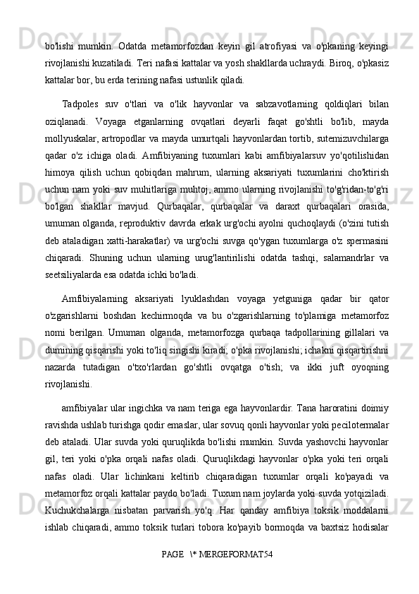 bo'lishi   mumkin.   Odatda   metamorfozdan   keyin   gil   atrofiyasi   va   o'pkaning   keyingi
rivojlanishi kuzatiladi. Teri nafasi kattalar va yosh shakllarda uchraydi. Biroq, o'pkasiz
kattalar bor, bu erda terining nafasi ustunlik qiladi.
Tadpoles   suv   o'tlari   va   o'lik   hayvonlar   va   sabzavotlarning   qoldiqlari   bilan
oziqlanadi.   Voyaga   etganlarning   ovqatlari   deyarli   faqat   go'shtli   bo'lib,   mayda
mollyuskalar, artropodlar va mayda umurtqali hayvonlardan tortib, sutemizuvchilarga
qadar   o'z   ichiga   oladi.   Amfibiyaning   tuxumlari   kabi   amfibiyalarsuv   yo'qotilishidan
himoya   qilish   uchun   qobiqdan   mahrum,   ularning   aksariyati   tuxumlarini   cho'ktirish
uchun  nam  yoki   suv  muhitlariga  muhtoj,  ammo  ularning  rivojlanishi  to'g'ridan-to'g'ri
bo'lgan   shakllar   mavjud.   Qurbaqalar,   qurbaqalar   va   daraxt   qurbaqalari   orasida,
umuman olganda, reproduktiv davrda erkak urg'ochi ayolni quchoqlaydi (o'zini tutish
deb   ataladigan   xatti-harakatlar)   va   urg'ochi   suvga   qo'ygan   tuxumlarga   o'z   spermasini
chiqaradi.   Shuning   uchun   ularning   urug'lantirilishi   odatda   tashqi,   salamandrlar   va
seetsiliyalarda esa odatda ichki bo'ladi.
Amfibiyalarning   aksariyati   lyuklashdan   voyaga   yetguniga   qadar   bir   qator
o'zgarishlarni   boshdan   kechirmoqda   va   bu   o'zgarishlarning   to'plamiga   metamorfoz
nomi   berilgan.   Umuman   olganda,   metamorfozga   qurbaqa   tadpollarining   gillalari   va
dumining qisqarishi yoki to'liq singishi kiradi; o'pka rivojlanishi; ichakni qisqartirishni
nazarda   tutadigan   o'txo'rlardan   go'shtli   ovqatga   o'tish;   va   ikki   juft   oyoqning
rivojlanishi. 
amfibiyalar ular ingichka va nam teriga ega hayvonlardir. Tana haroratini doimiy
ravishda ushlab turishga qodir emaslar, ular sovuq qonli hayvonlar yoki pecilotermalar
deb ataladi. Ular suvda yoki quruqlikda bo'lishi mumkin. Suvda yashovchi  hayvonlar
gil,   teri   yoki   o'pka   orqali   nafas   oladi.   Quruqlikdagi   hayvonlar   o'pka   yoki   teri   orqali
nafas   oladi.   Ular   lichinkani   keltirib   chiqaradigan   tuxumlar   orqali   ko'payadi   va
metamorfoz orqali kattalar paydo bo'ladi. Tuxum nam joylarda yoki suvda yotqiziladi.
Kuchukchalarga   nisbatan   parvarish   yo'q.   Har   qanday   amfibiya   toksik   moddalarni
ishlab   chiqaradi,   ammo   toksik   turlari   tobora   ko'payib   bormoqda   va   baxtsiz   hodisalar
PAGE   \* MERGEFORMAT54 