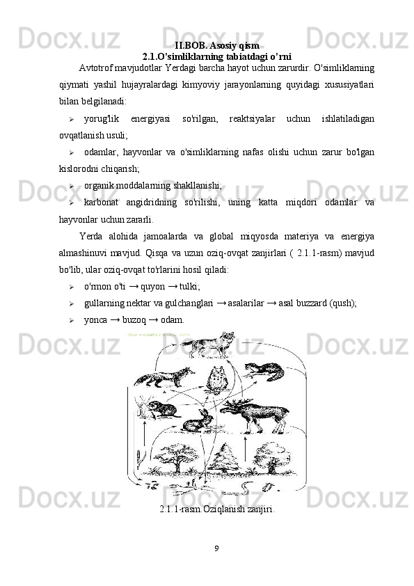 II.BOB. Asosiy qism
2.1. O’simliklarning tabiatdagi o’rni
Avtotrof mavjudotlar Yerdagi barcha hayot uchun zarurdir. O'simliklarning
qiymati   yashil   hujayralardagi   kimyoviy   jarayonlarning   quyidagi   xususiyatlari
bilan belgilanadi:
 yorug'lik   energiyasi   so'rilgan,   reaktsiyalar   uchun   ishlatiladigan
ovqatlanish usuli;
 odamlar,   hayvonlar   va   o'simliklarning   nafas   olishi   uchun   zarur   bo'lgan
kislorodni chiqarish;
 organik moddalarning shakllanishi;
 karbonat   angidridning   so'rilishi,   uning   katta   miqdori   odamlar   va
hayvonlar uchun zararli.
Yerda   alohida   jamoalarda   va   global   miqyosda   materiya   va   energiya
almashinuvi  mavjud.  Qisqa   va  uzun  oziq-ovqat  zanjirlari  (   2.1.1-rasm)  mavjud
bo'lib, ular oziq-ovqat to'rlarini hosil qiladi:
 o'rmon o'ti → quyon → tulki;
 gullarning nektar va gulchanglari → asalarilar → asal buzzard (qush);
 yonca → buzoq → odam.
2.1.1-rasm.Oziqlanish zanjiri.
9 